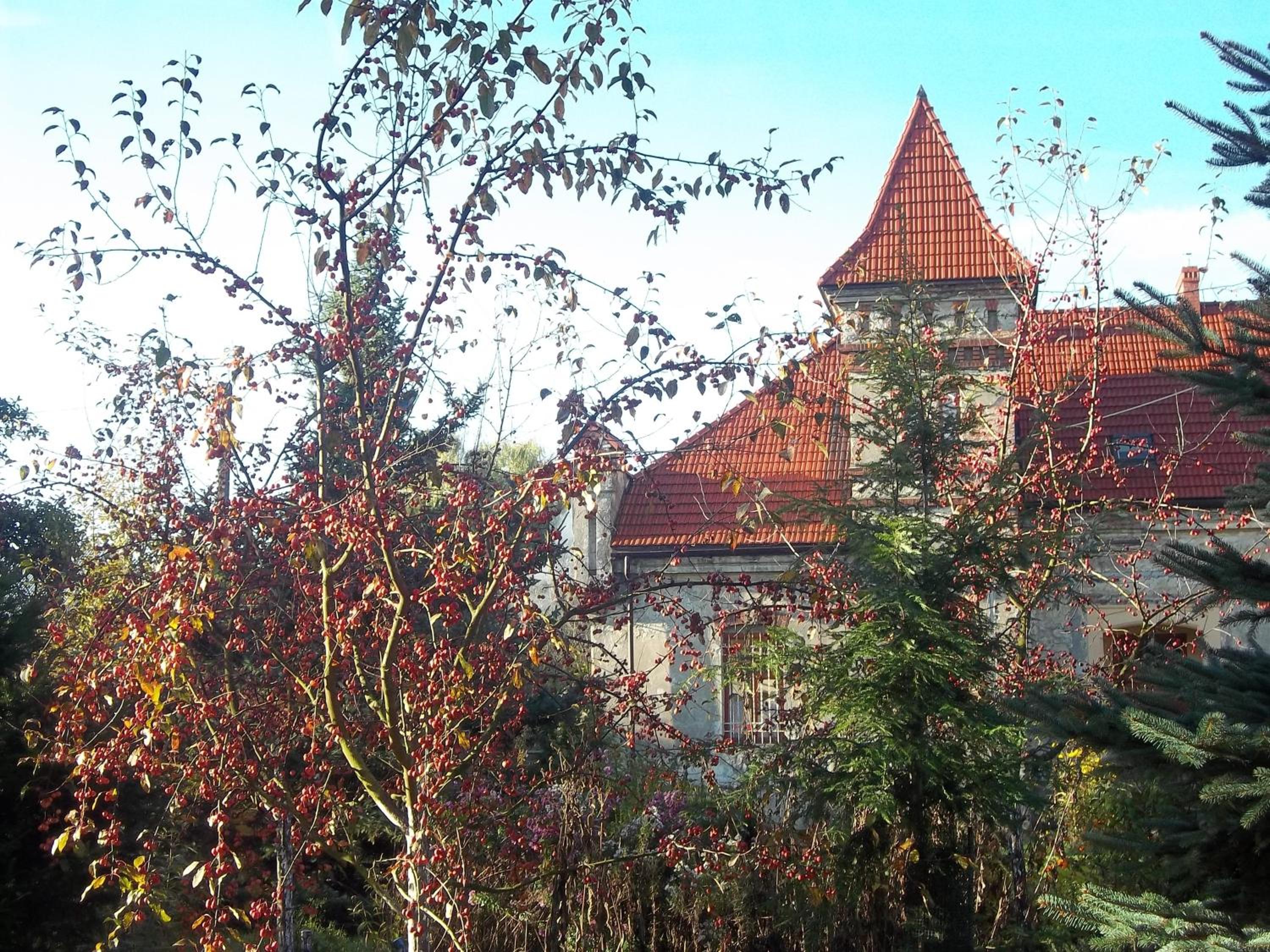 Photo 16