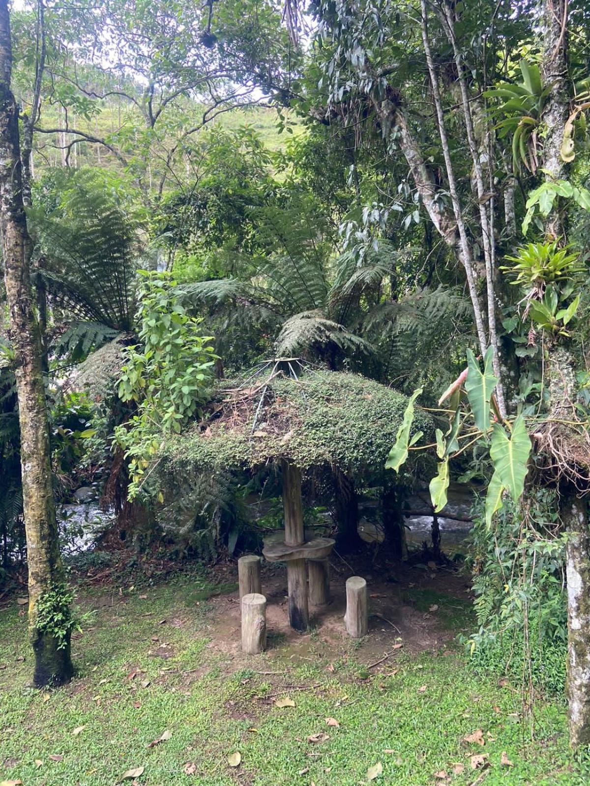 Chalé rústico truta dá floresta 3
