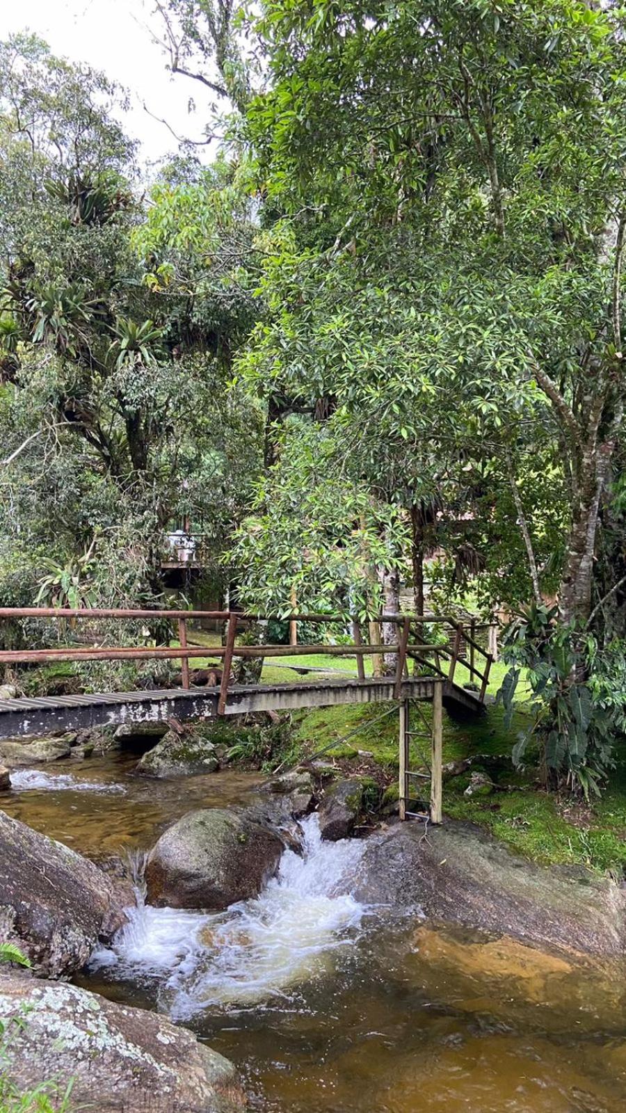 Chalé rústico truta dá floresta 3