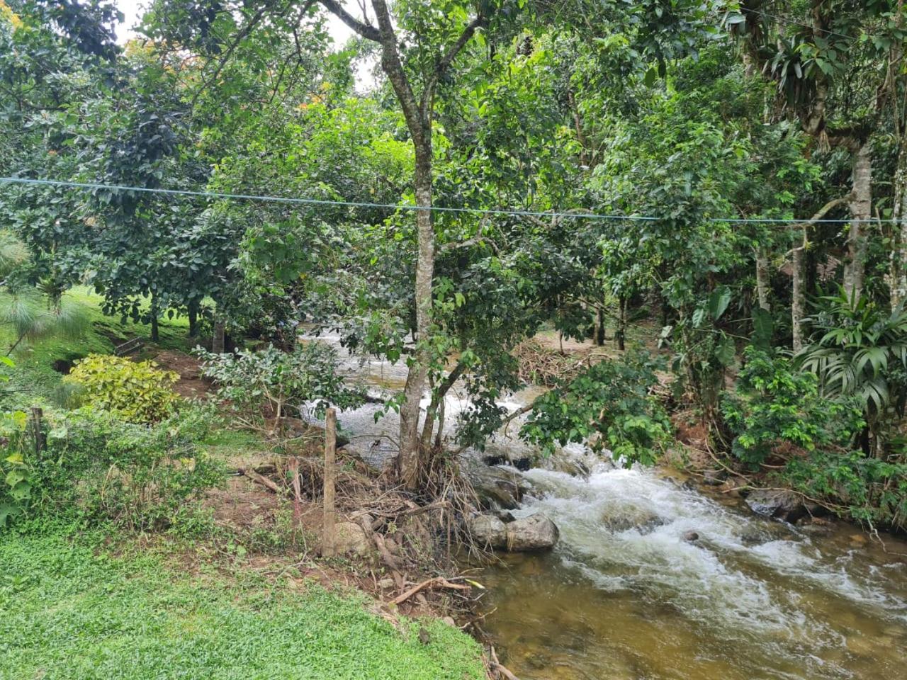 Chalé rústico truta dá floresta 3
