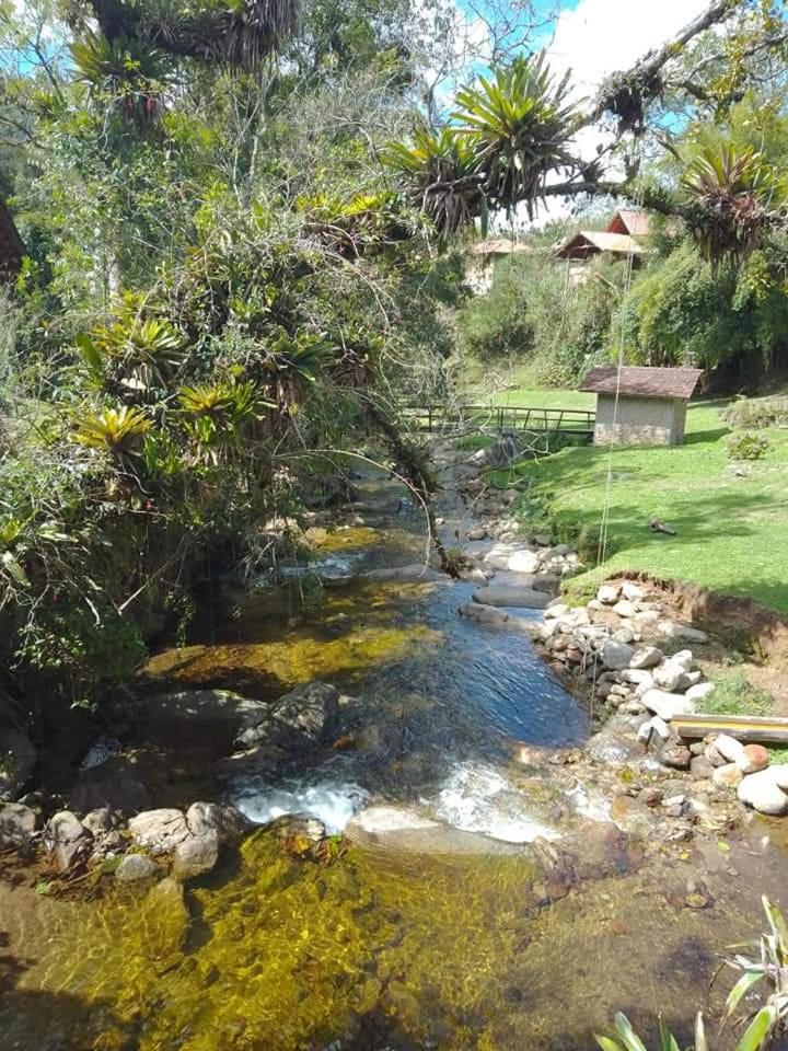 Chalé rústico truta dá floresta 3