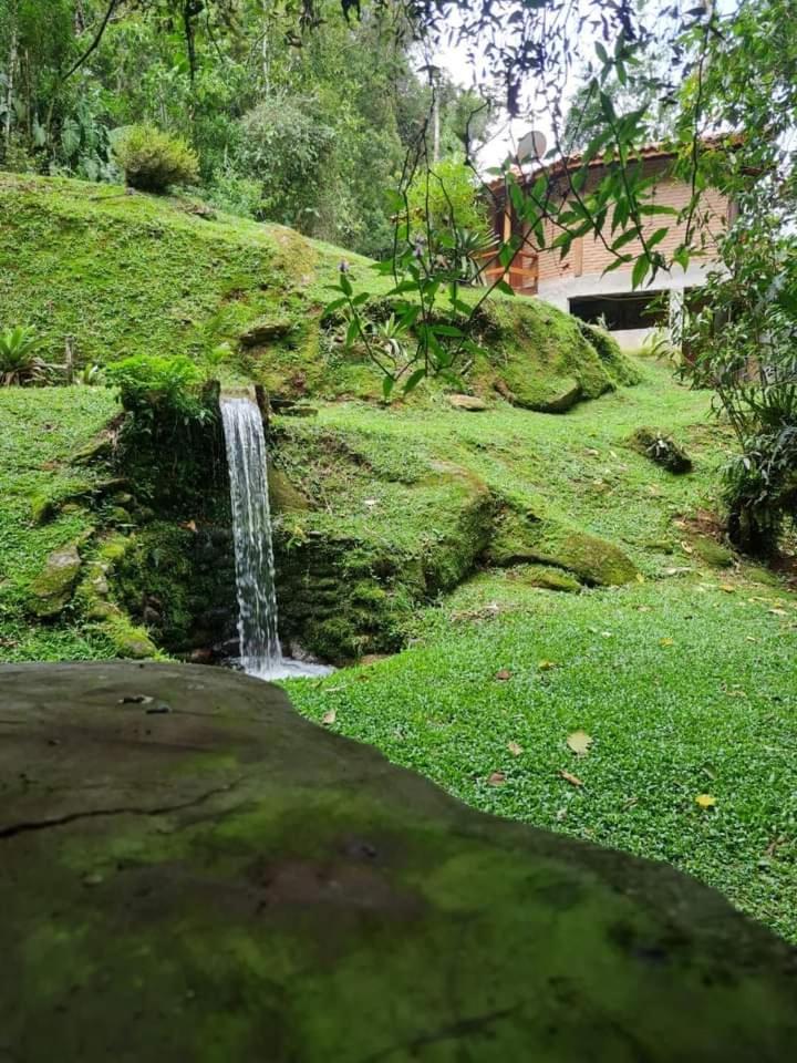 Chalé rústico truta dá floresta 3