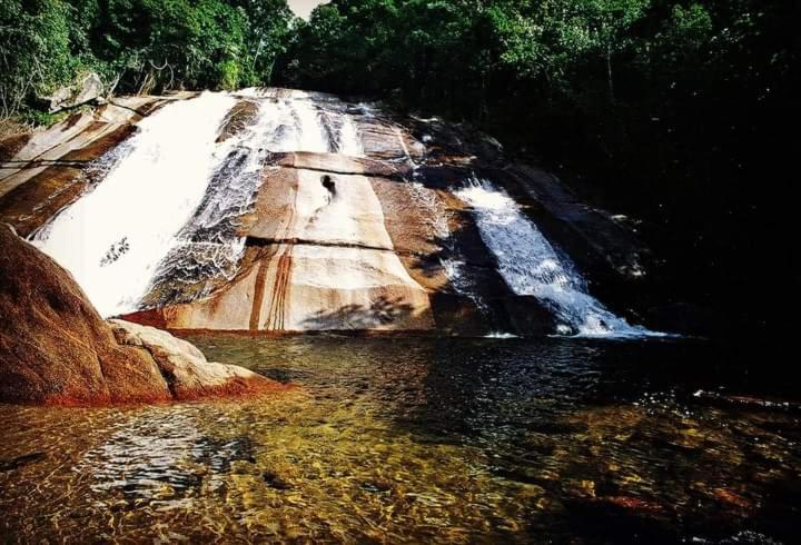 Chalé rústico truta dá floresta 3