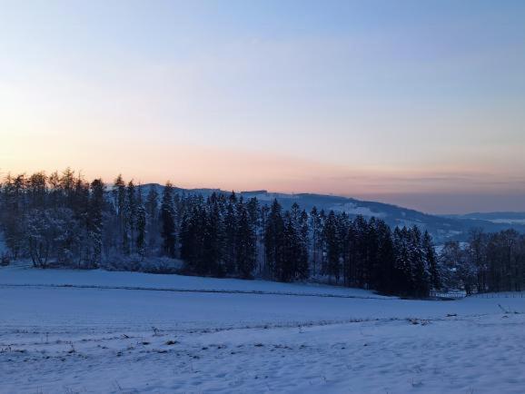 Modernes Rhombushaus im Naturparadies Sauerland
