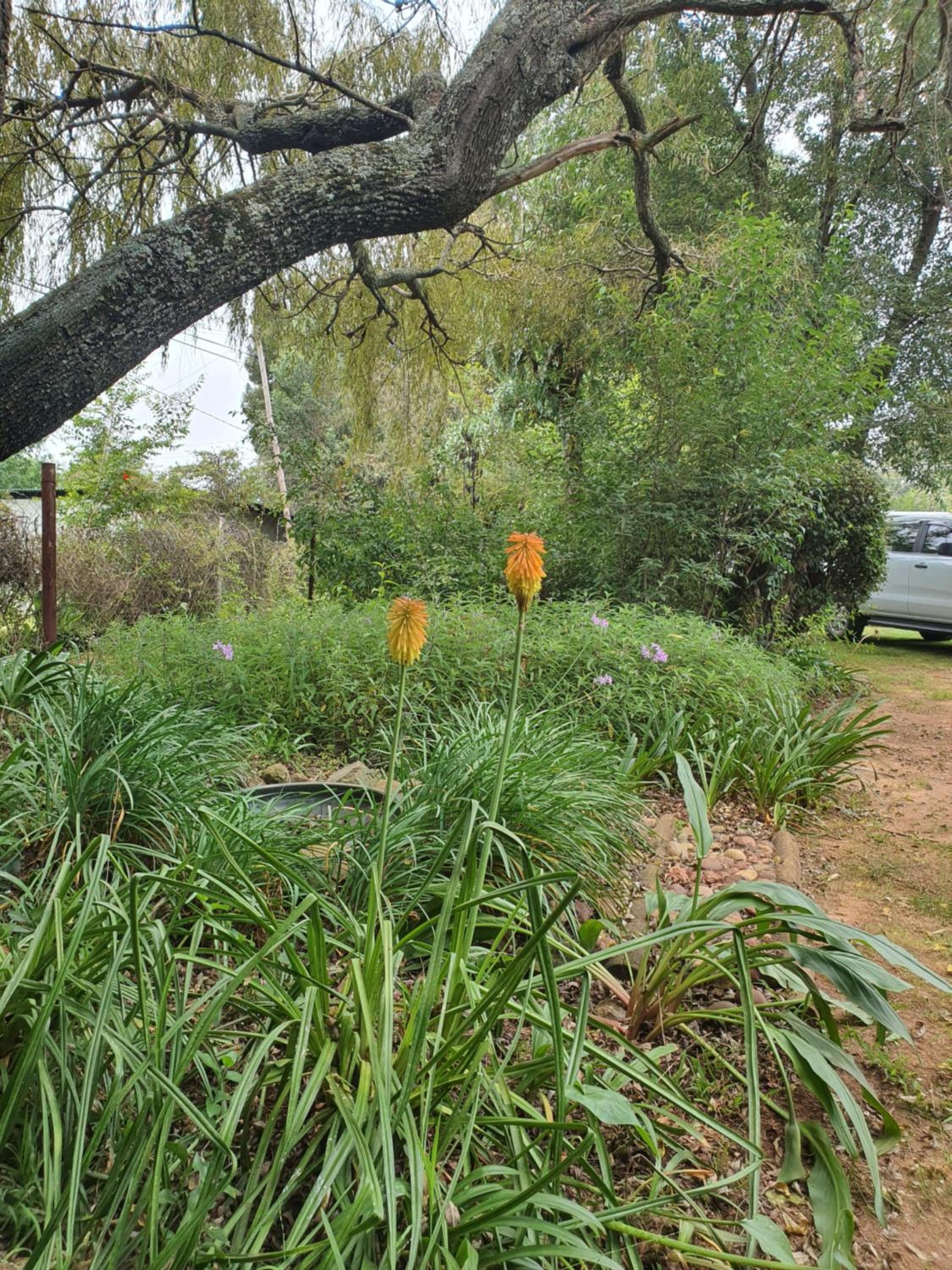 Photo 31
