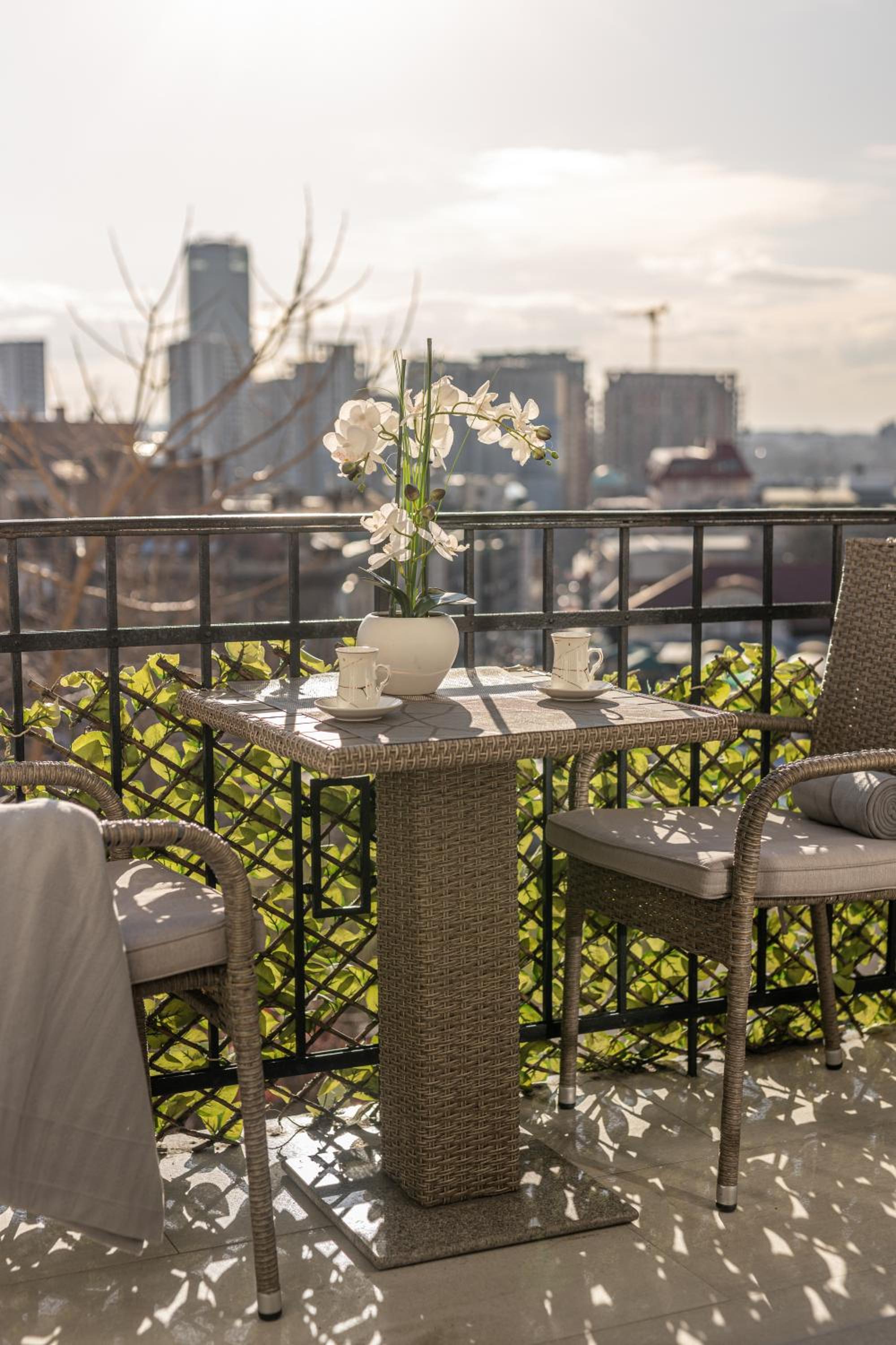 balance & terrace