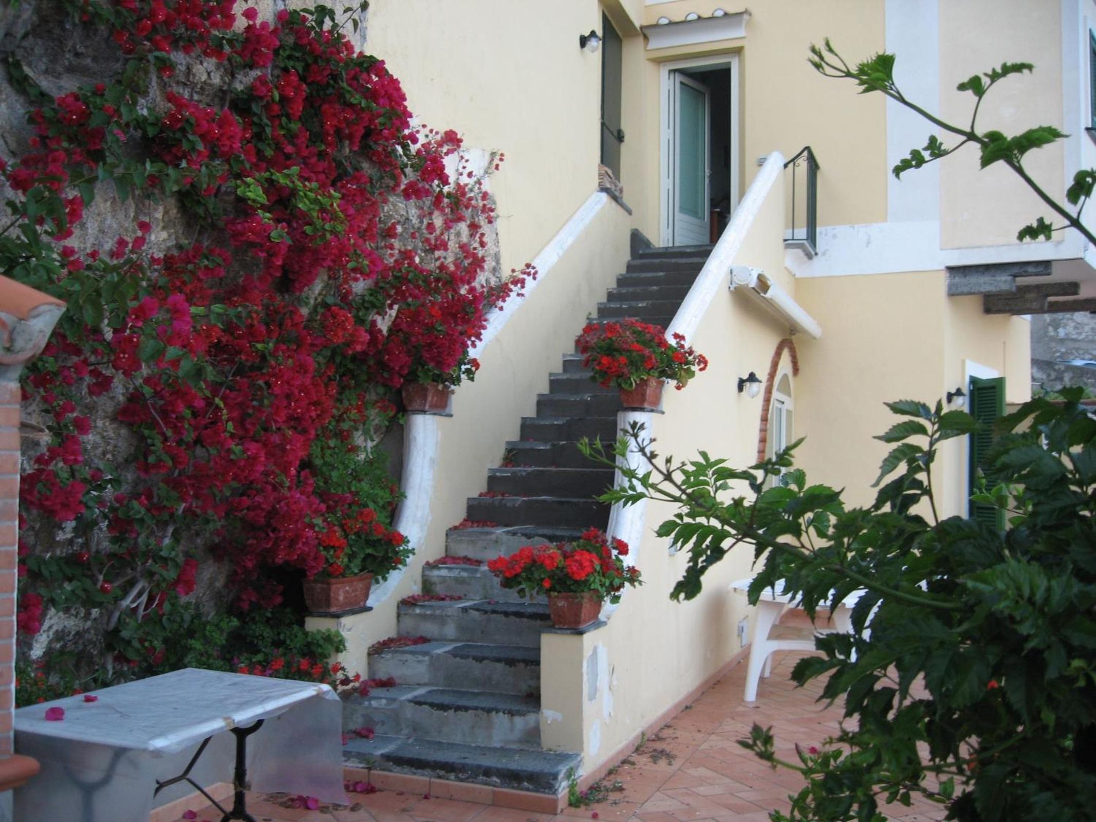 Photo 24