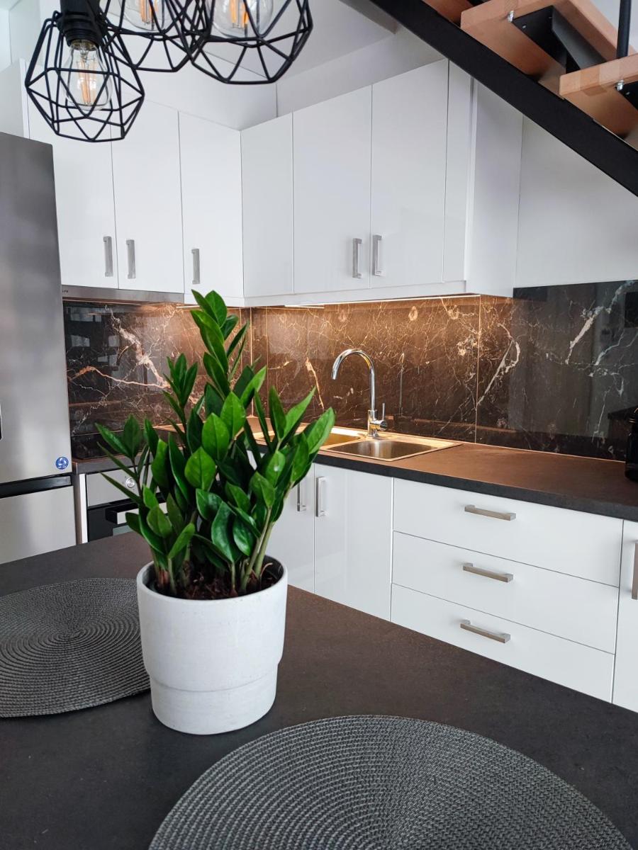 Freesia Loft Apartment photo 1