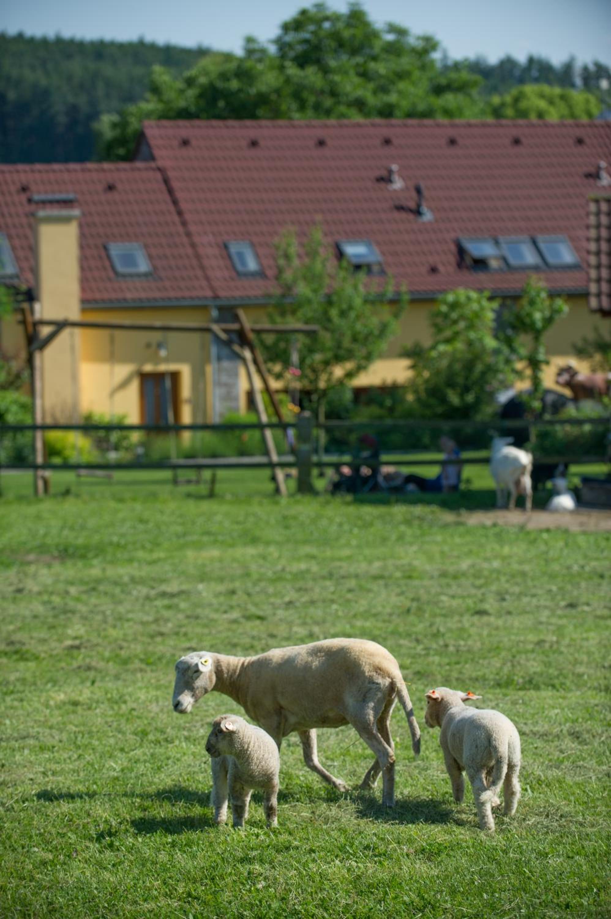 Photo 26