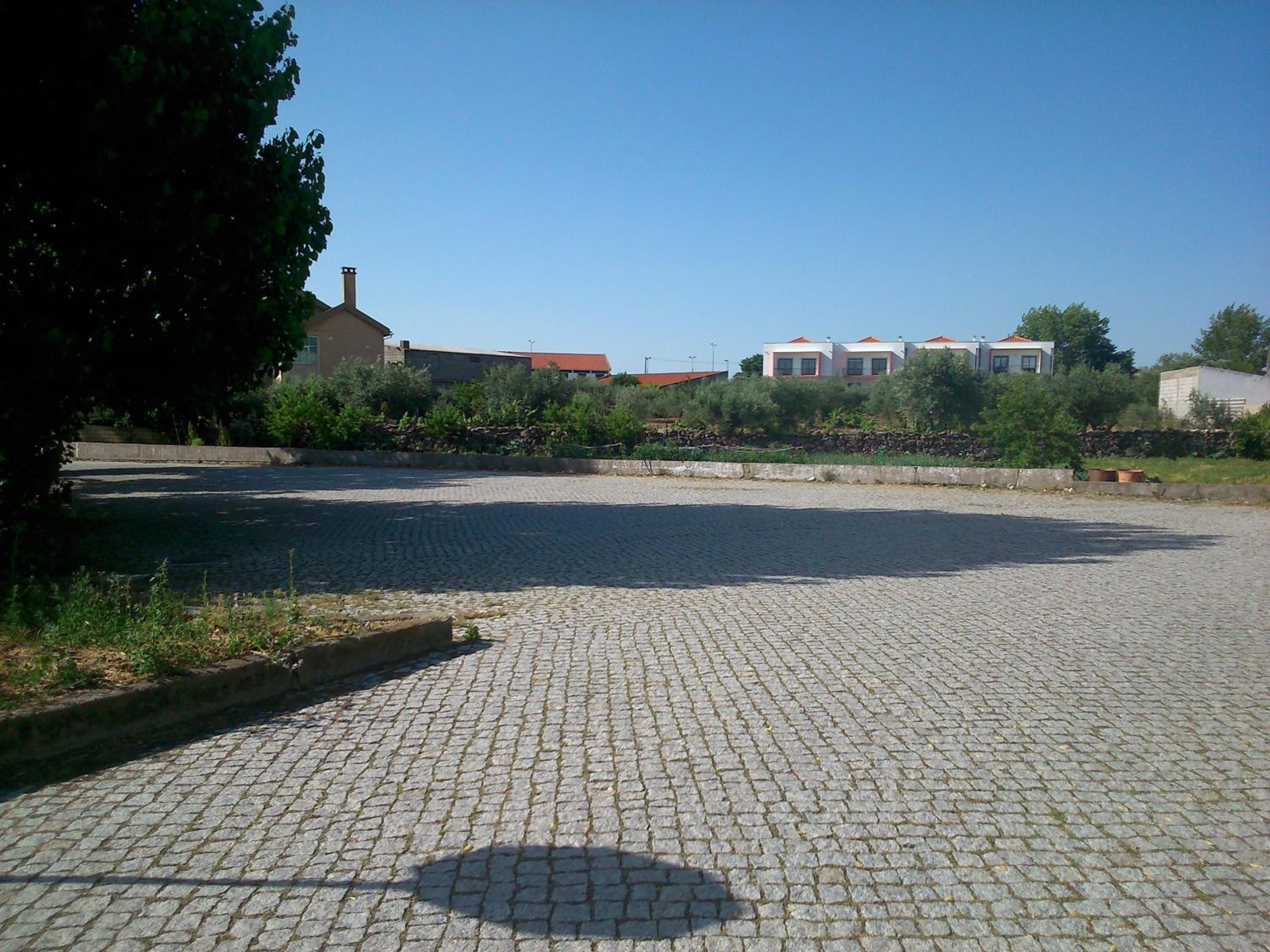 Photo 46