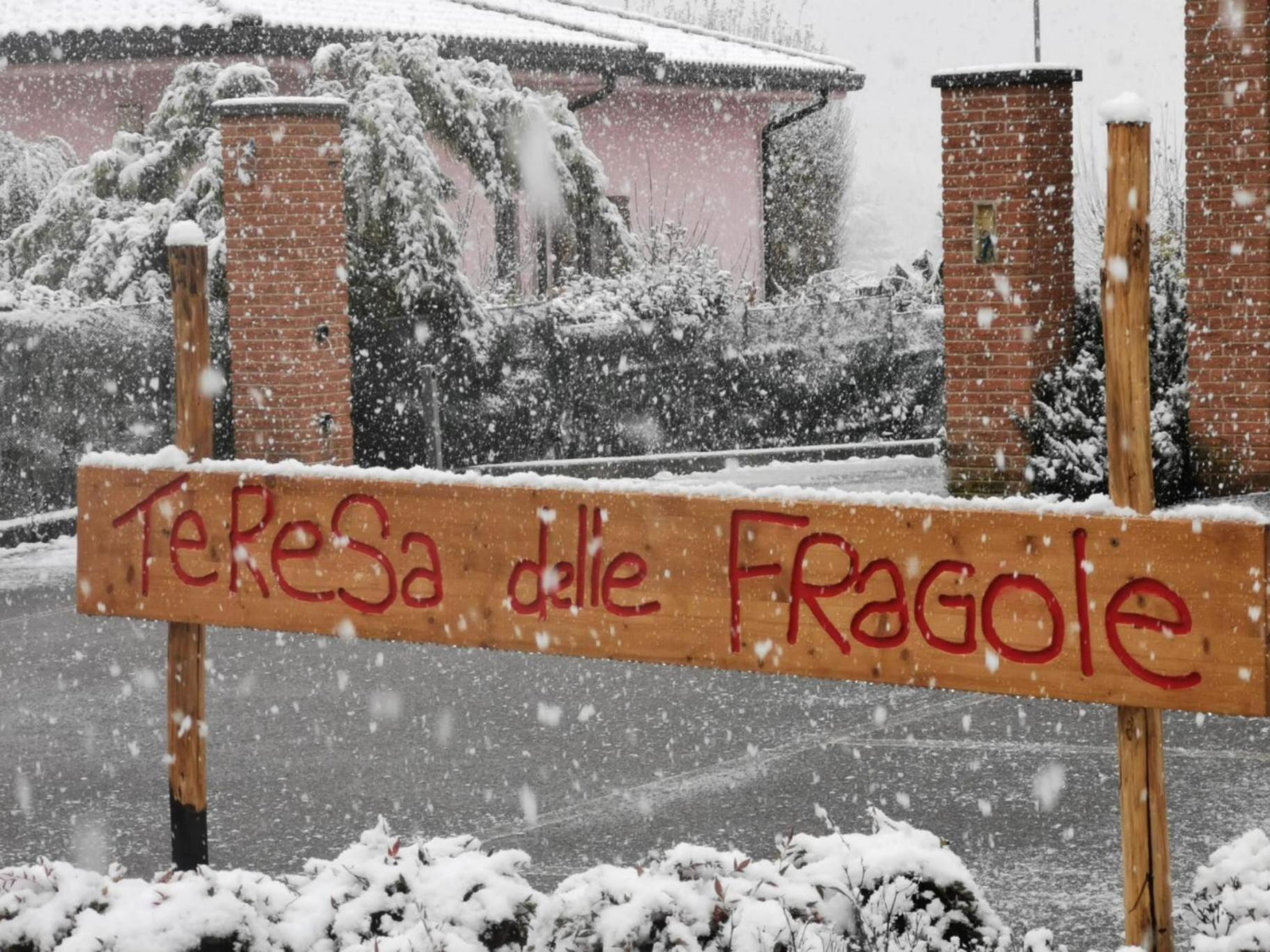 Agriturismo Teresa delle Fragole view 3