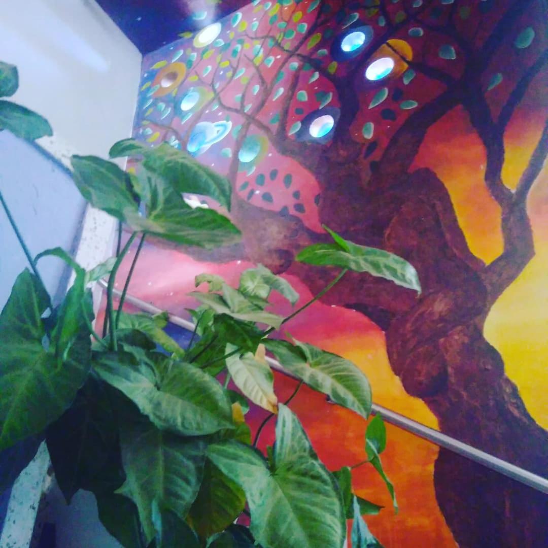 Casa Pacha