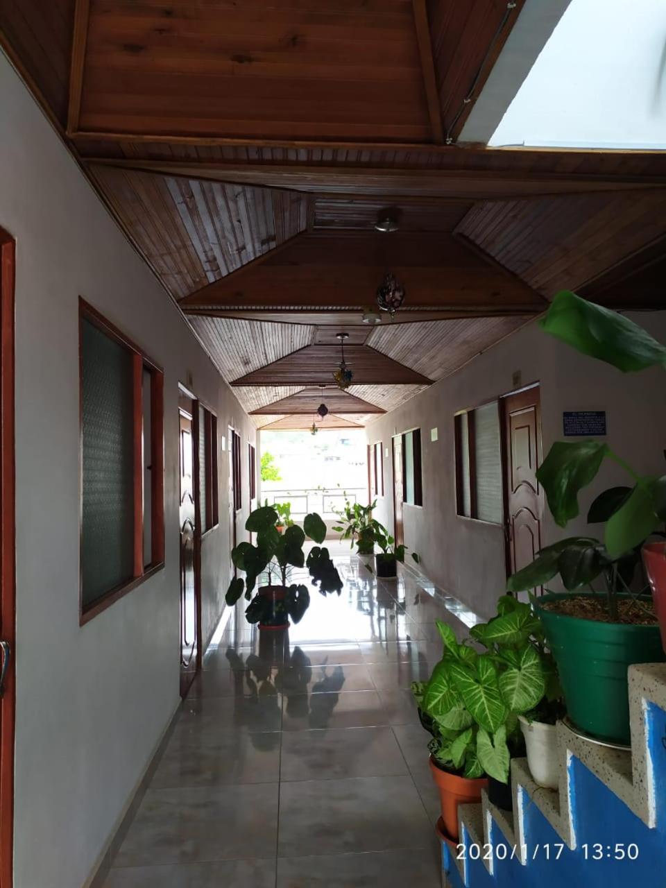 Casa Pacha