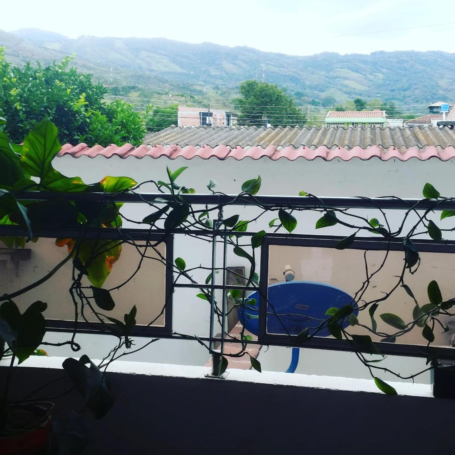 Casa Pacha