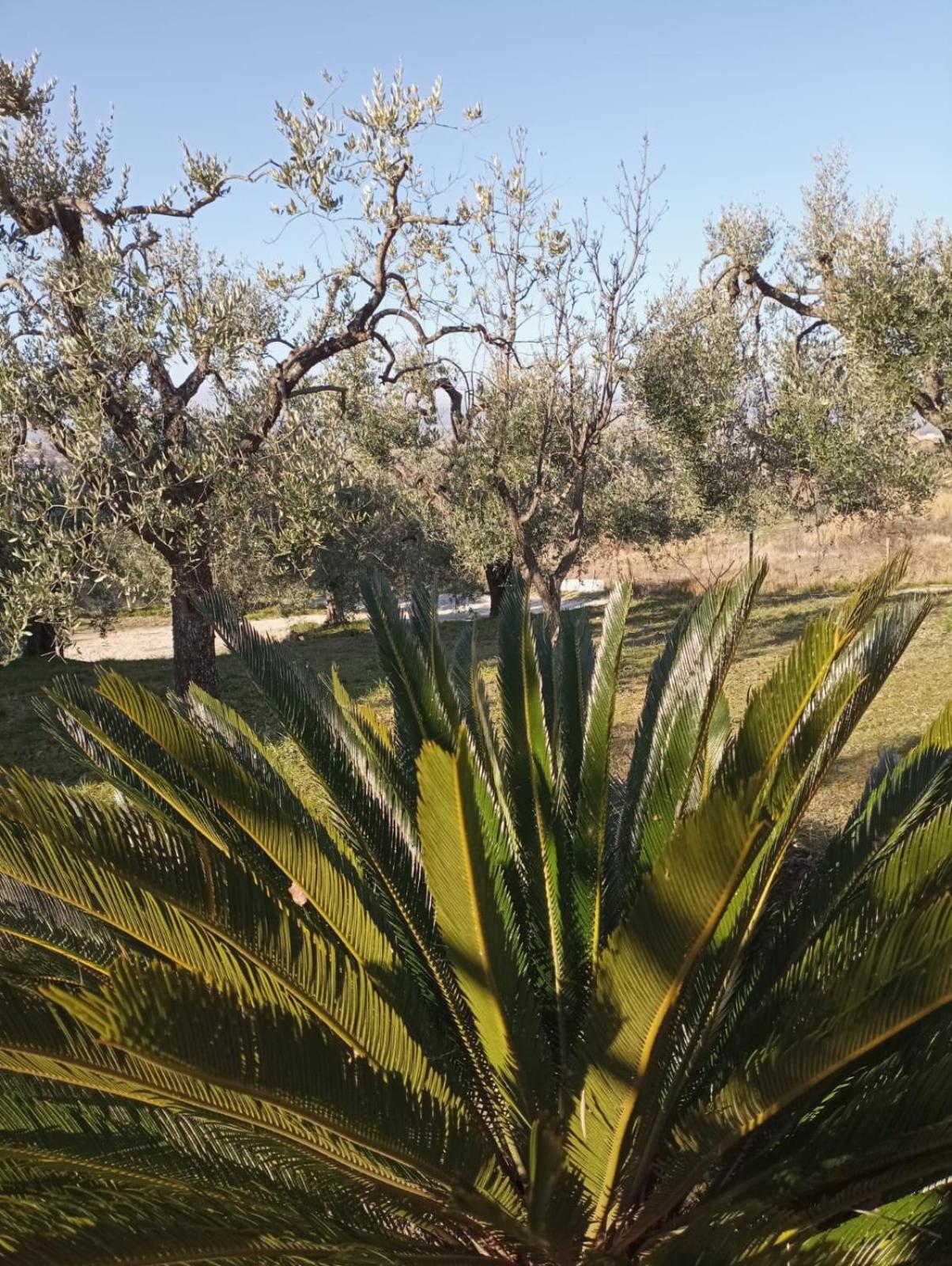 Photo 15