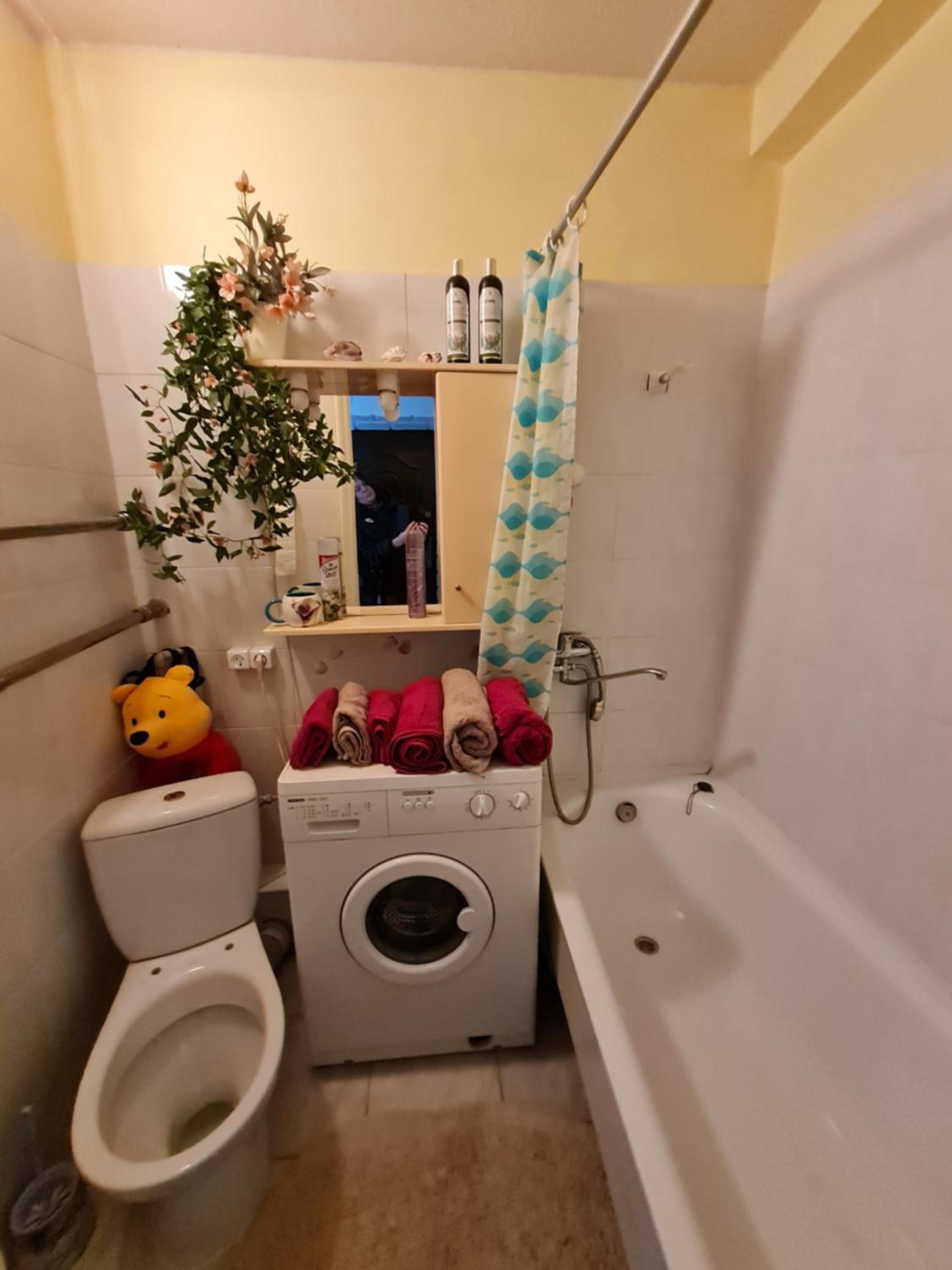 Photo 16