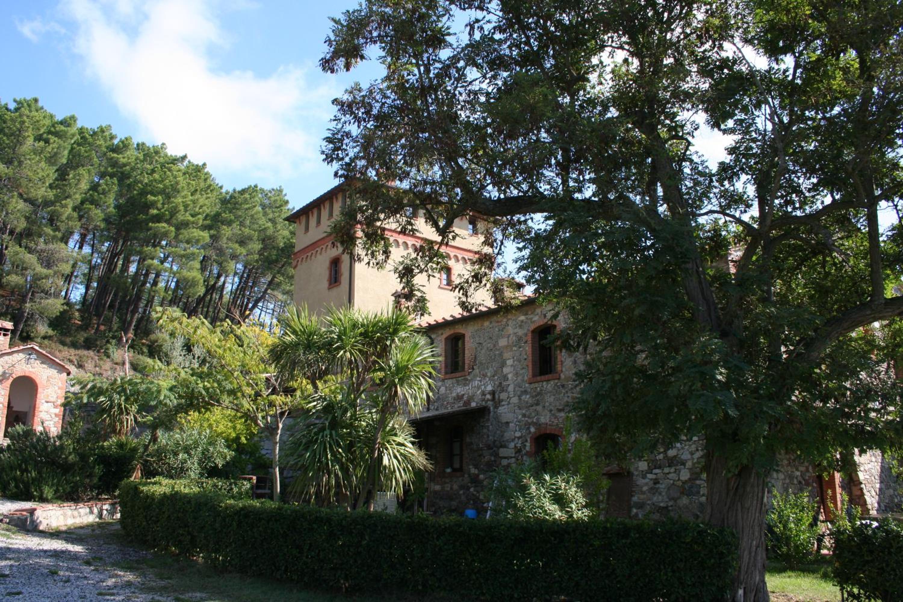Photo 28