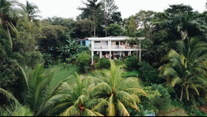 Coibahouse Ocean Front Eco-Stay view 4