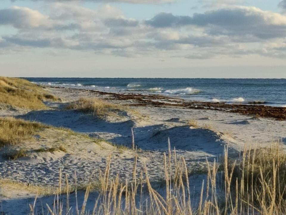Hyggelig sommerhus Øer Maritime ferieby Ebeltoft