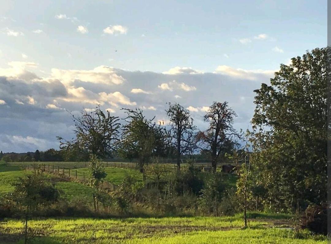 Vakantiewoning in monumentale boerderij met yurt