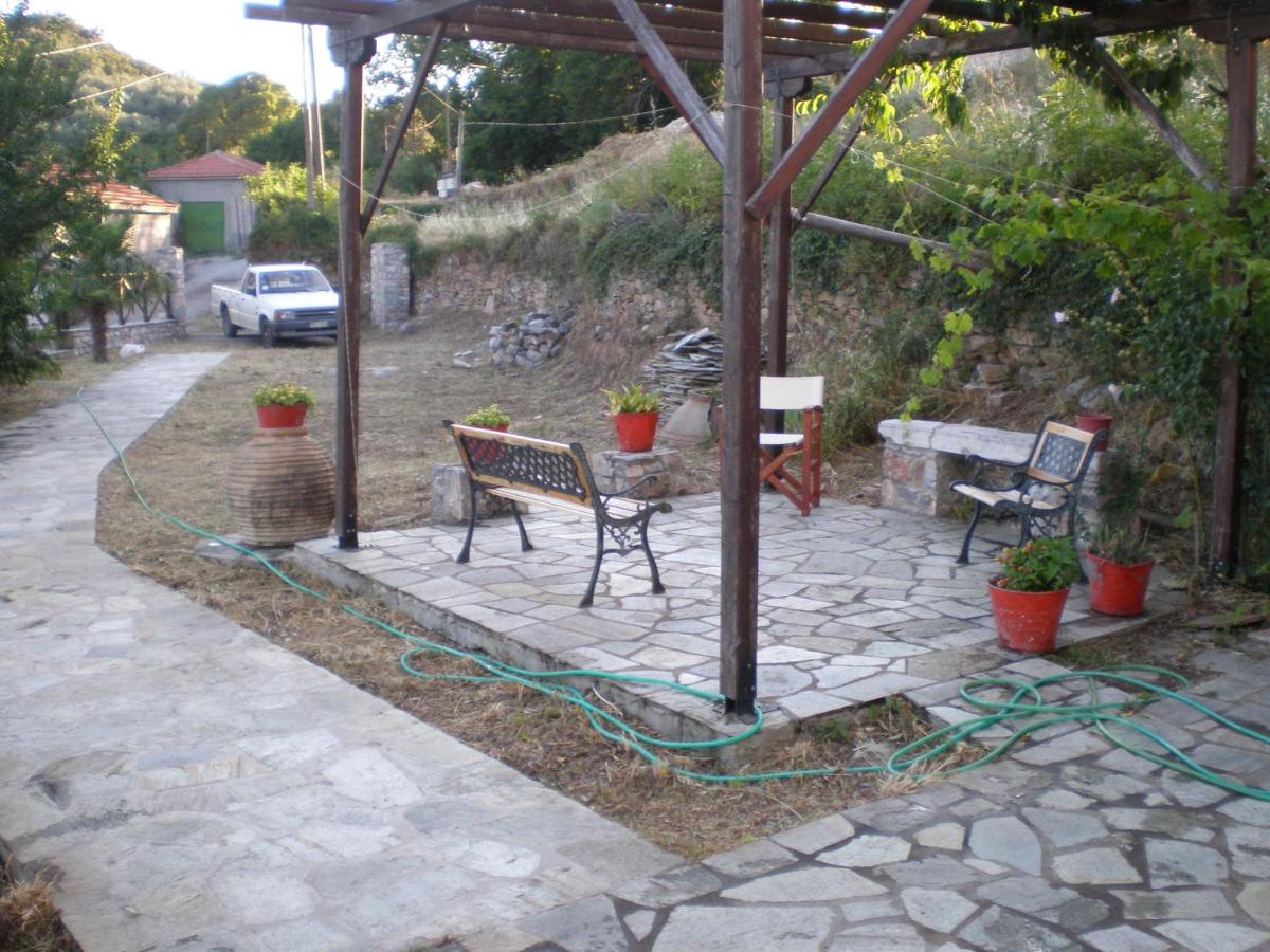 Photo 7