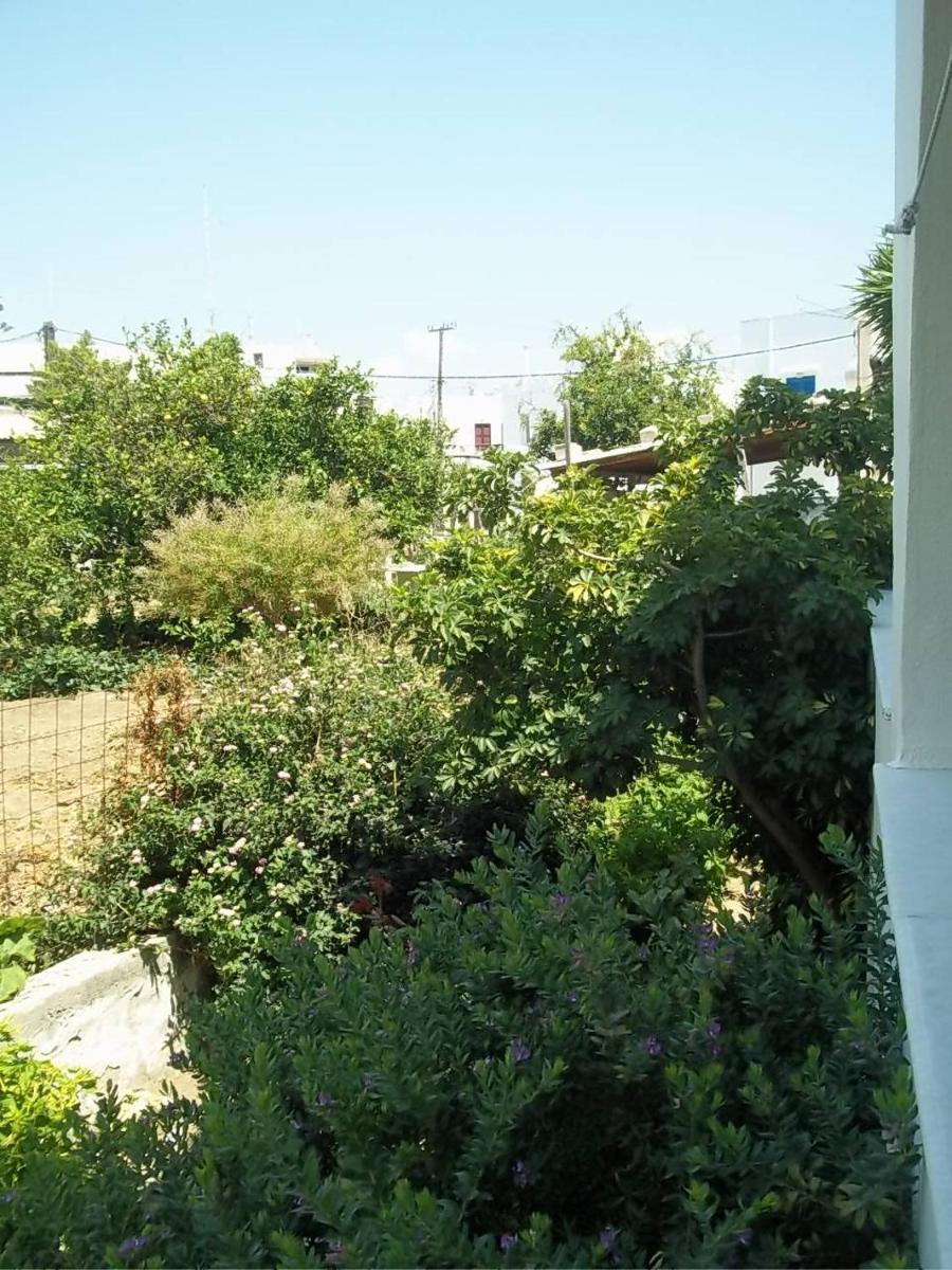 Photo 44