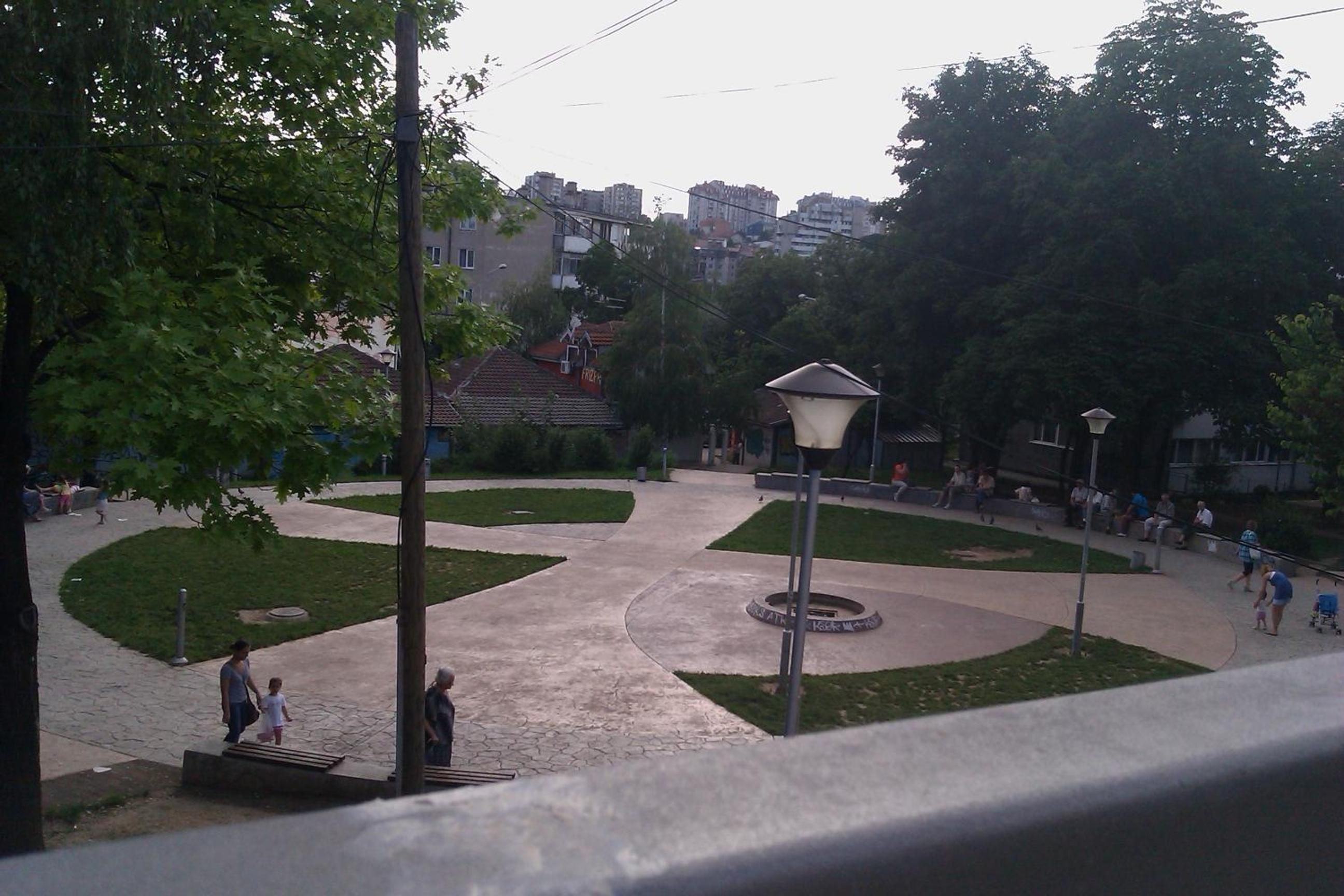 Photo 134