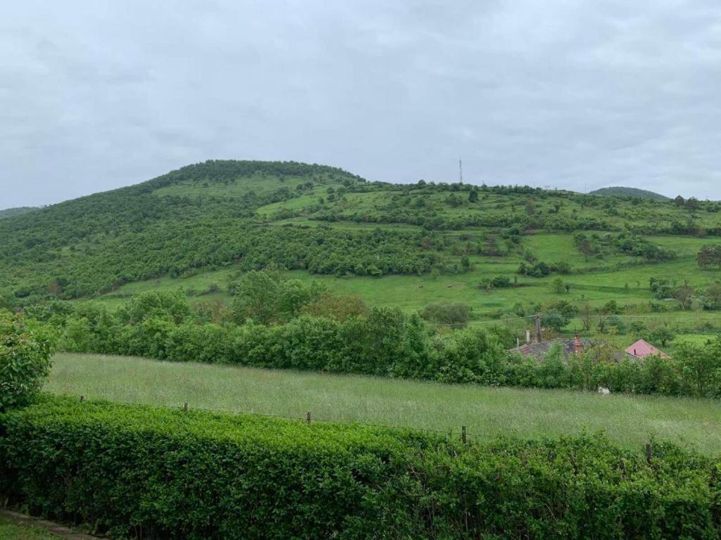 Zemplén Gyöngye Vendégház view 4