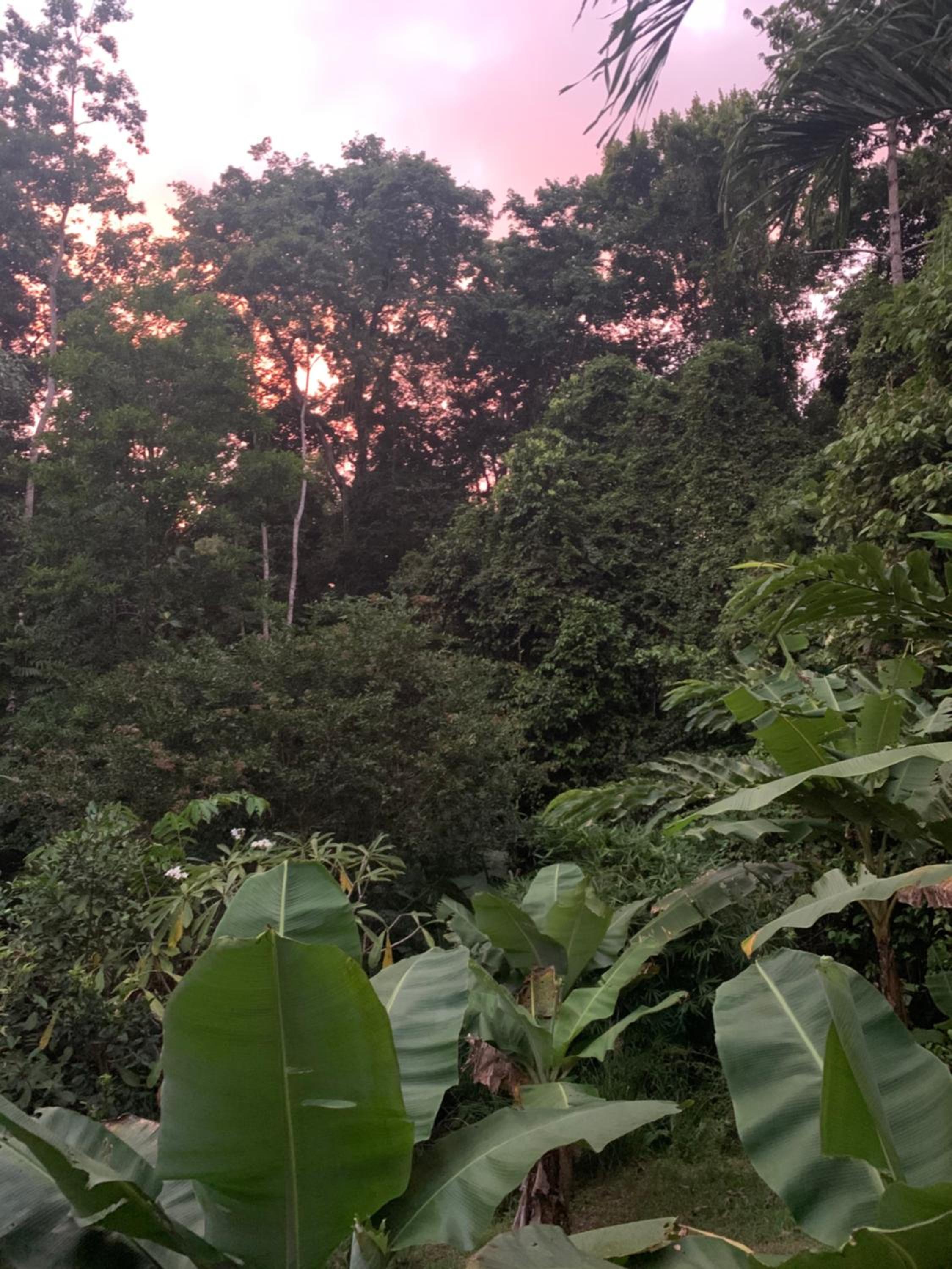 Pequeño Paraiso 2