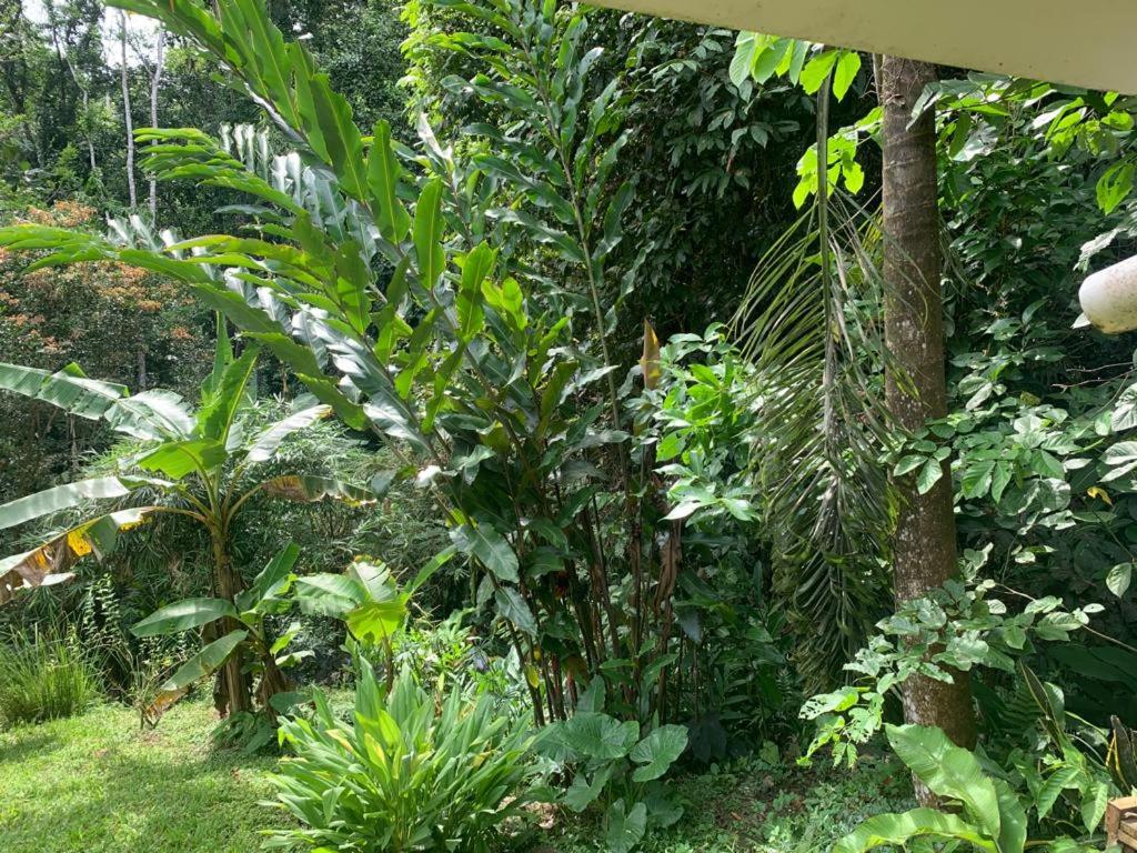 Pequeño Paraiso 2