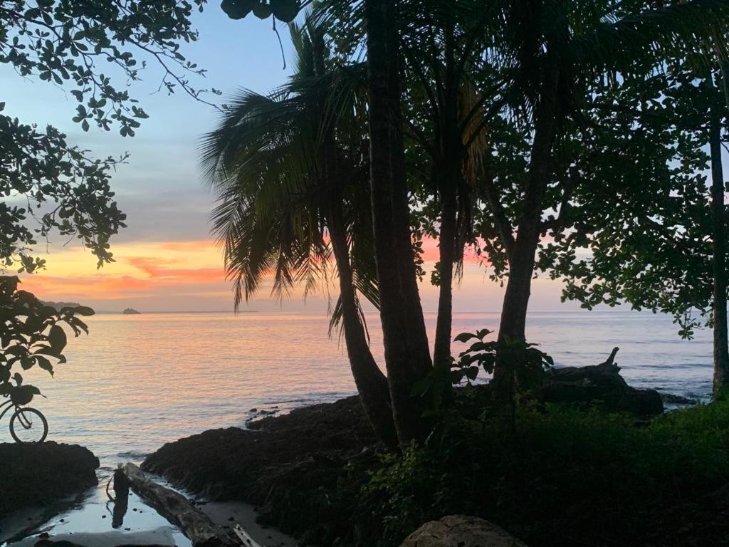 Pequeño Paraiso 2