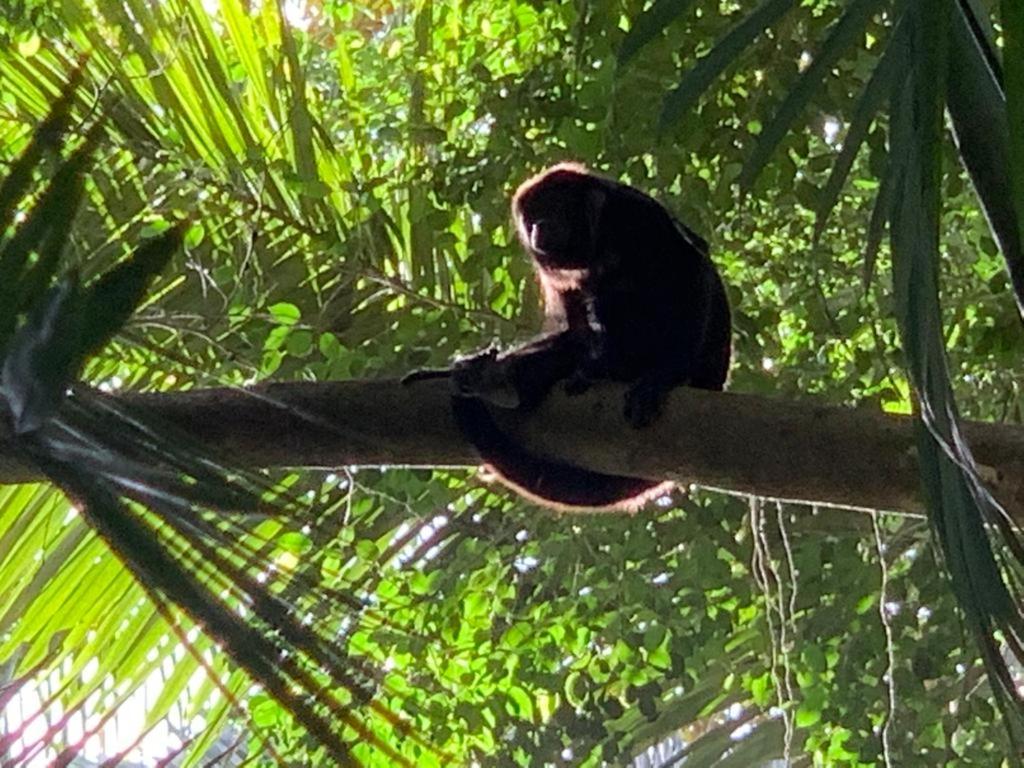 Pequeño Paraiso 2