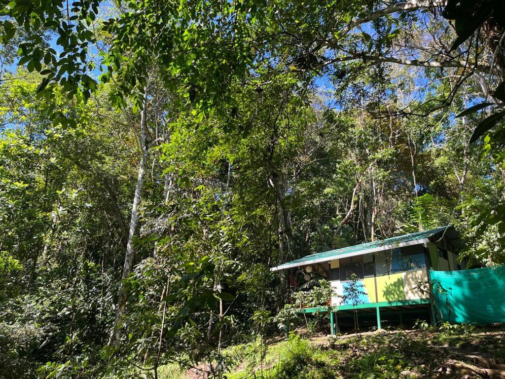 Pequeño Paraiso 2