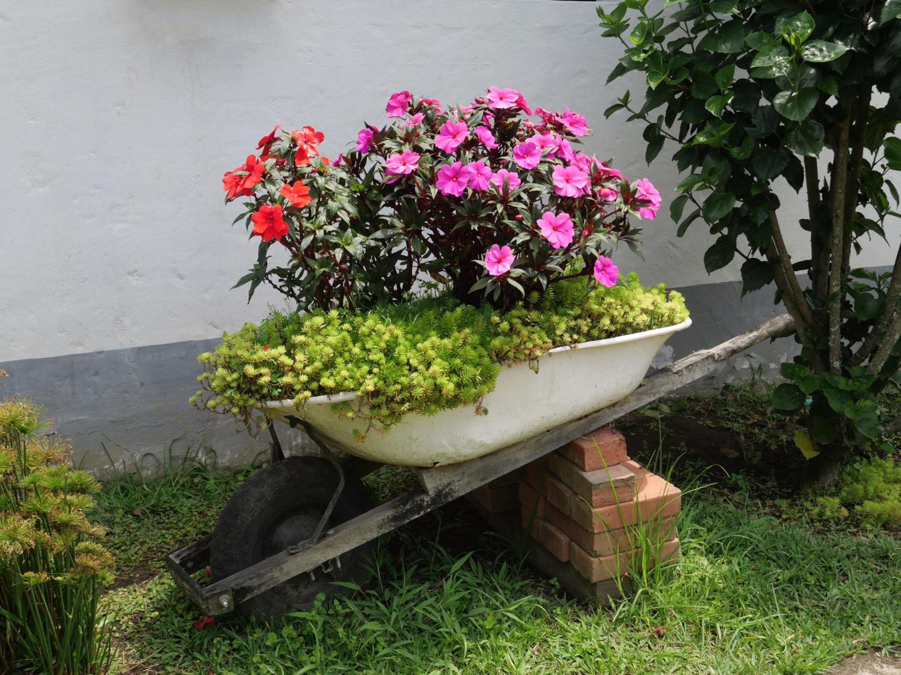 Patio Bonito