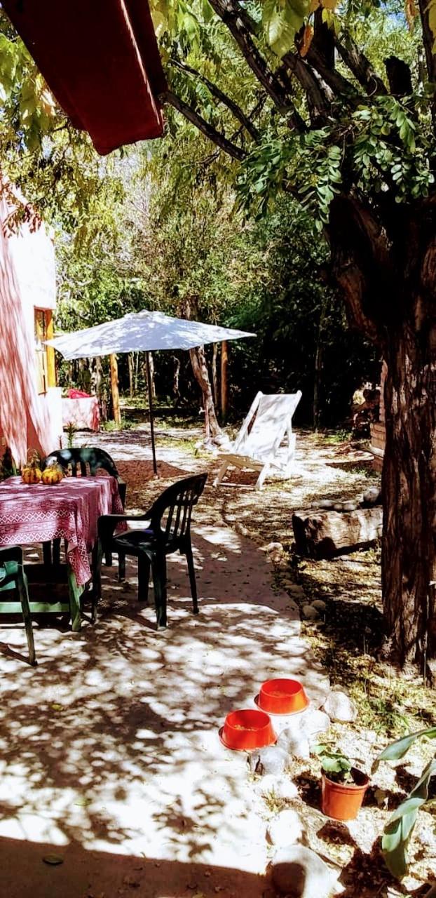 La Esmeralda: El Alojamiento estrella de Amaicha del Valle