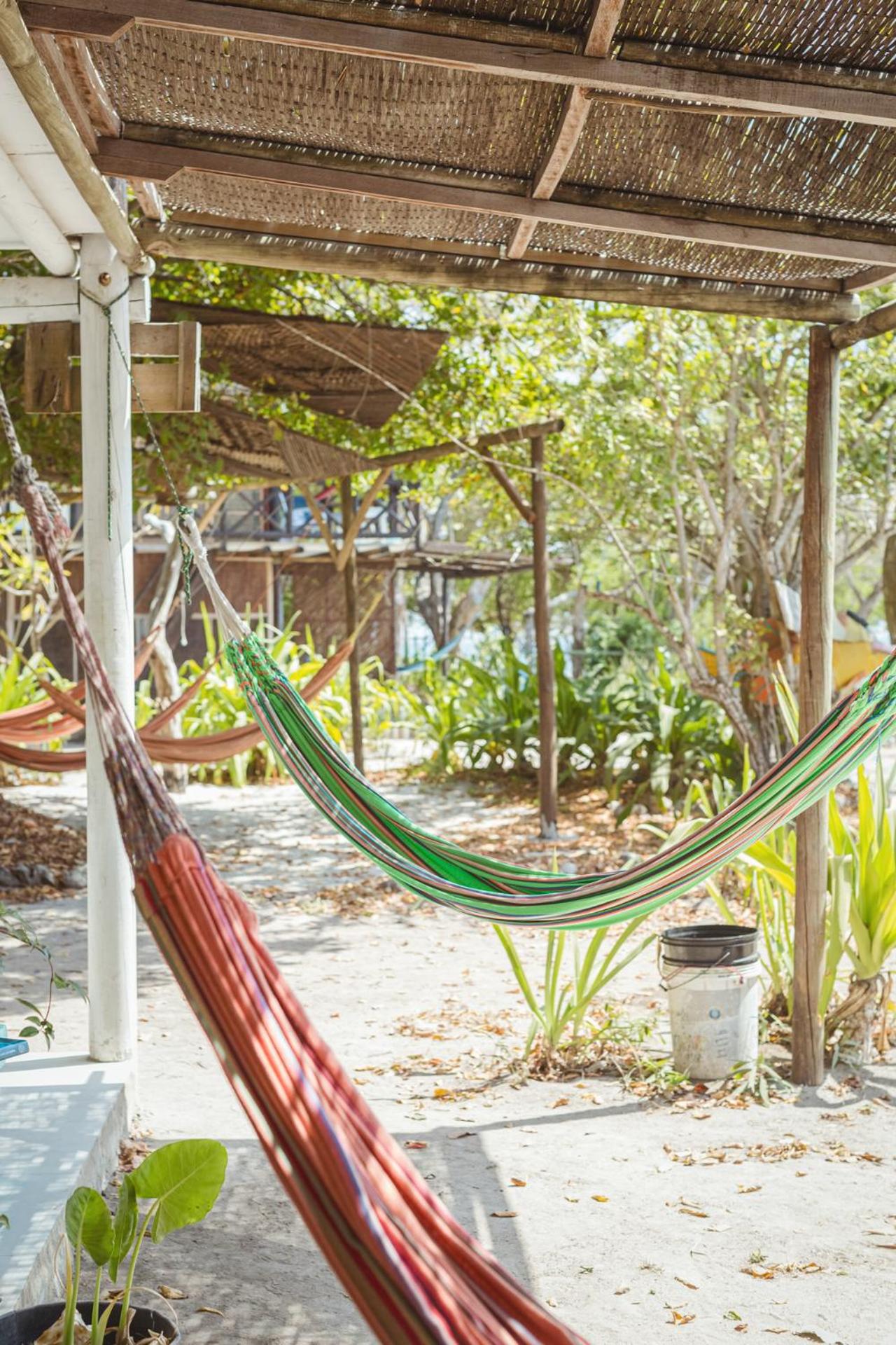 Photo 97