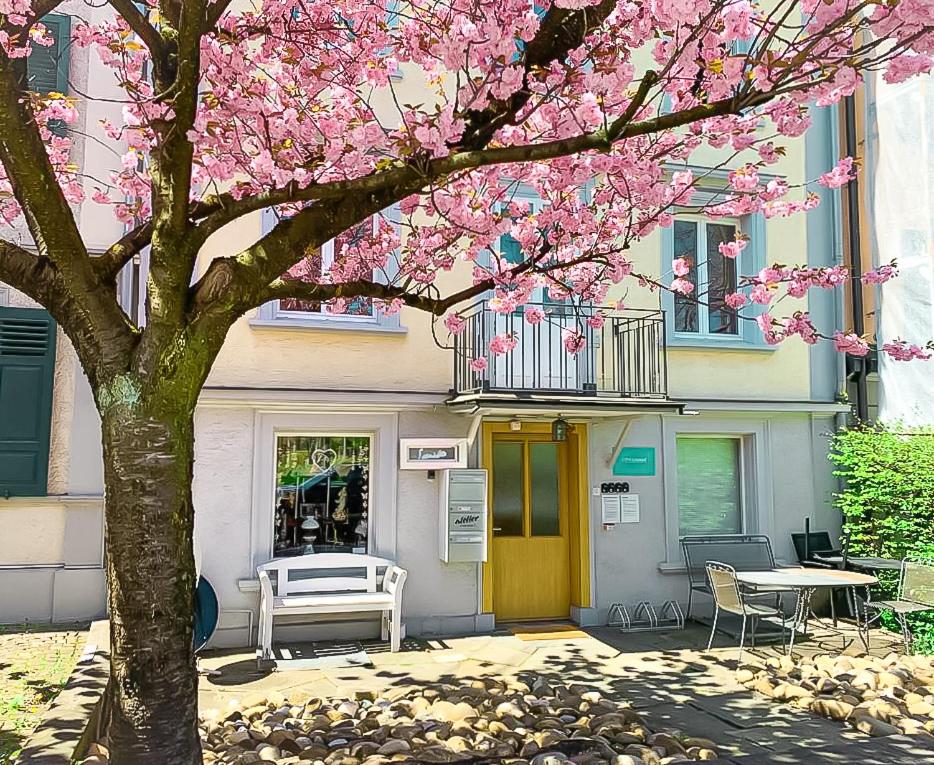 CityLodge St Gallen - 2 min to Marktplatz