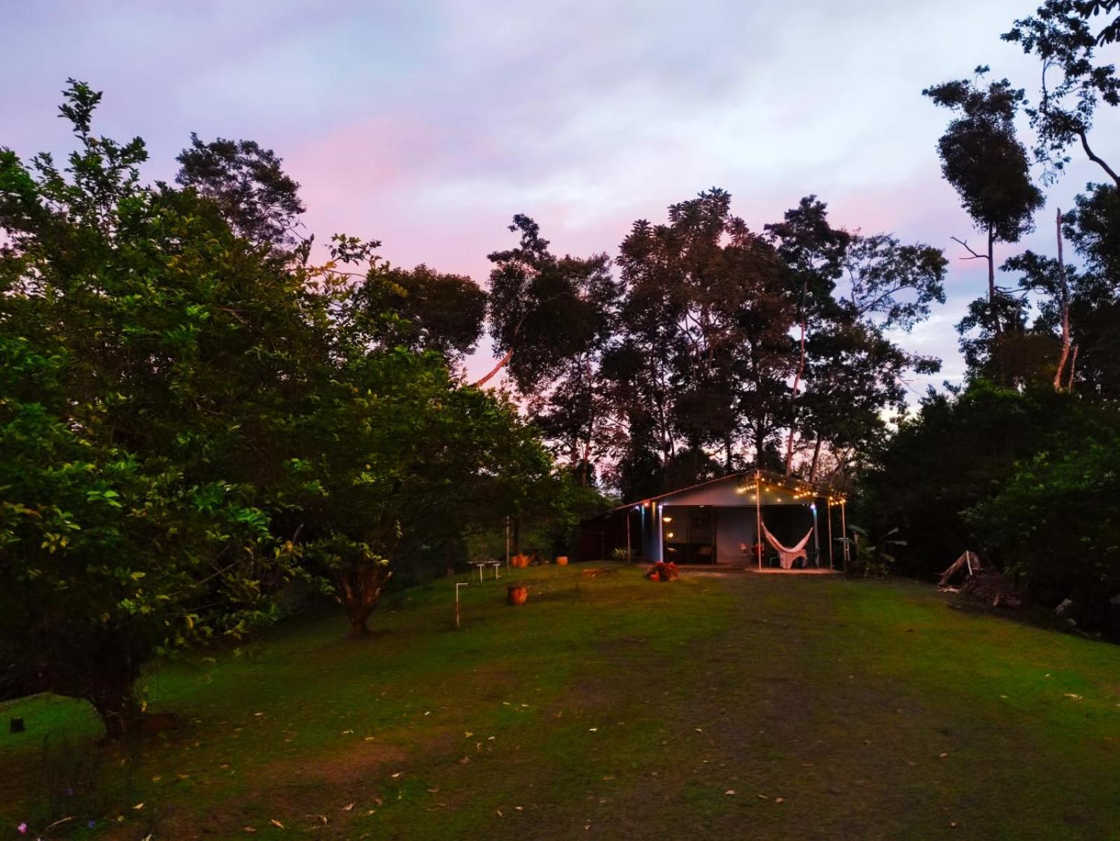 Amphibia House