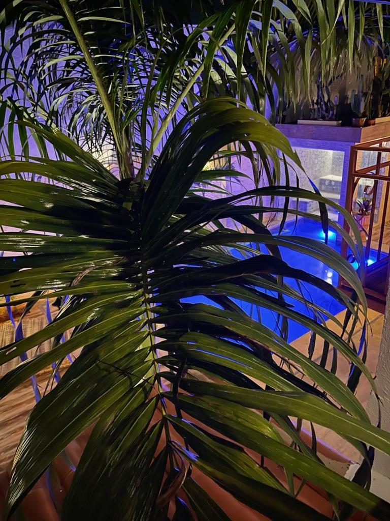 Villa Lulu Geribá