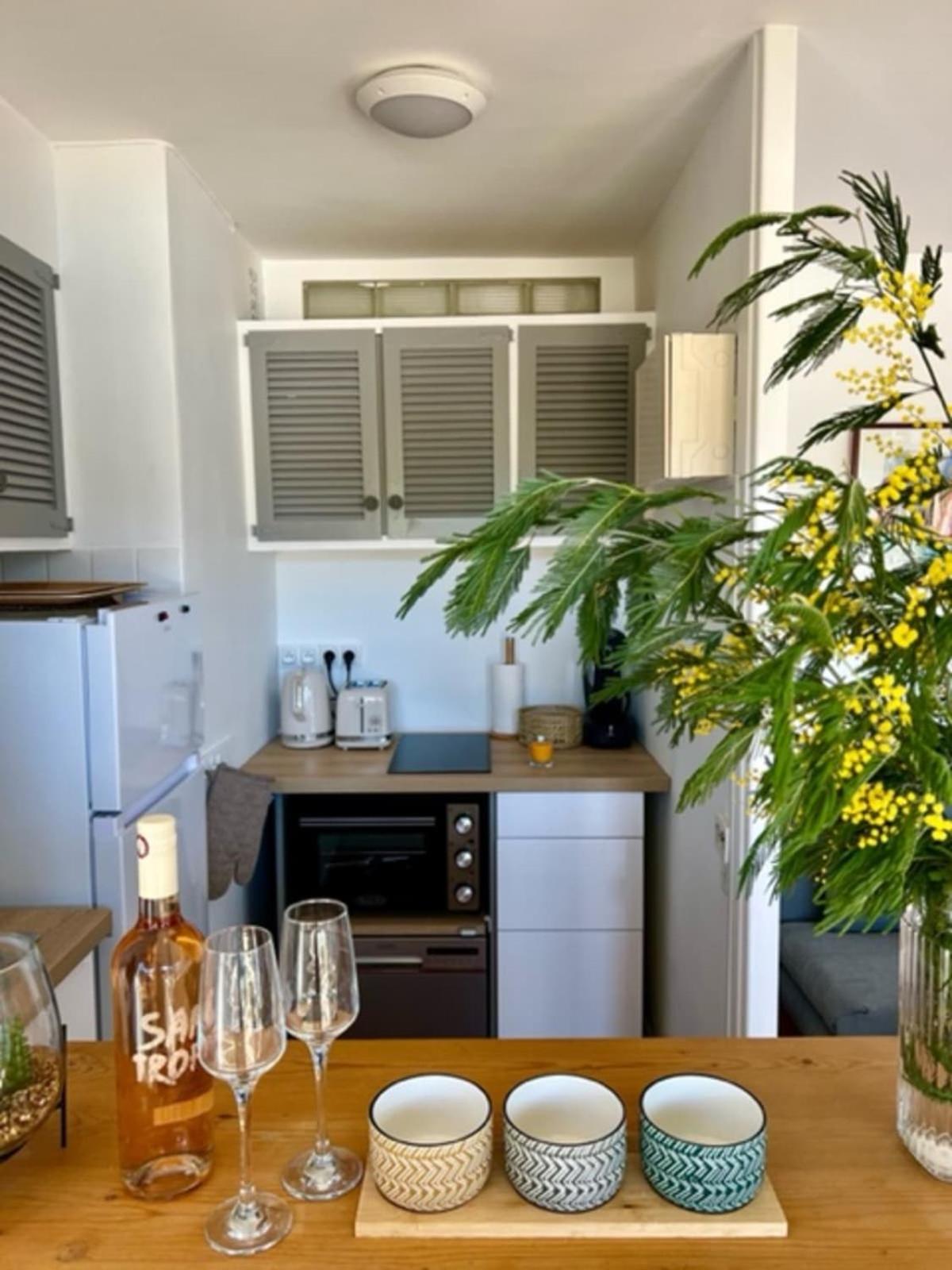 35m With Pool For Couple In Saint Tropez