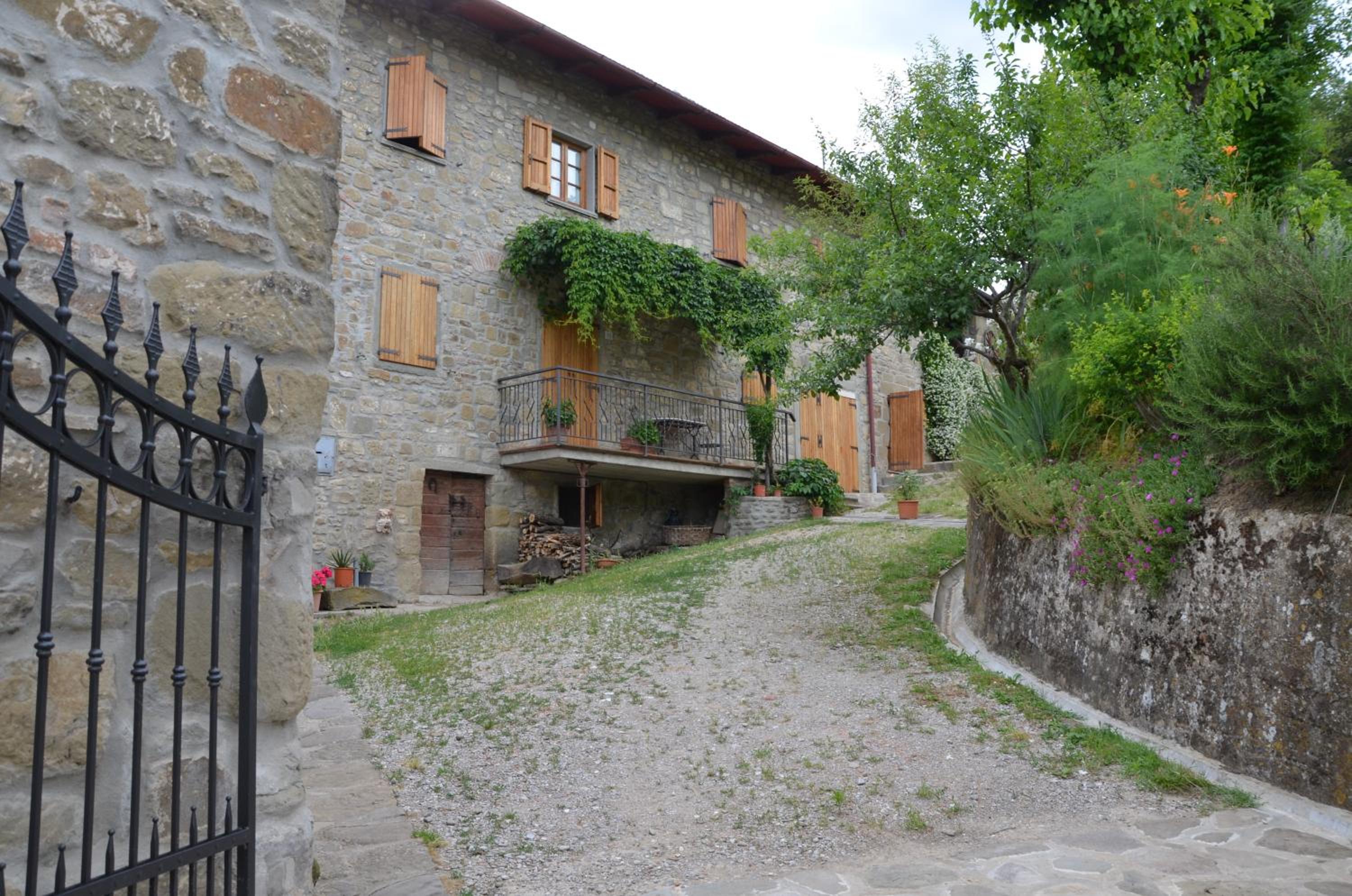 Photo 41