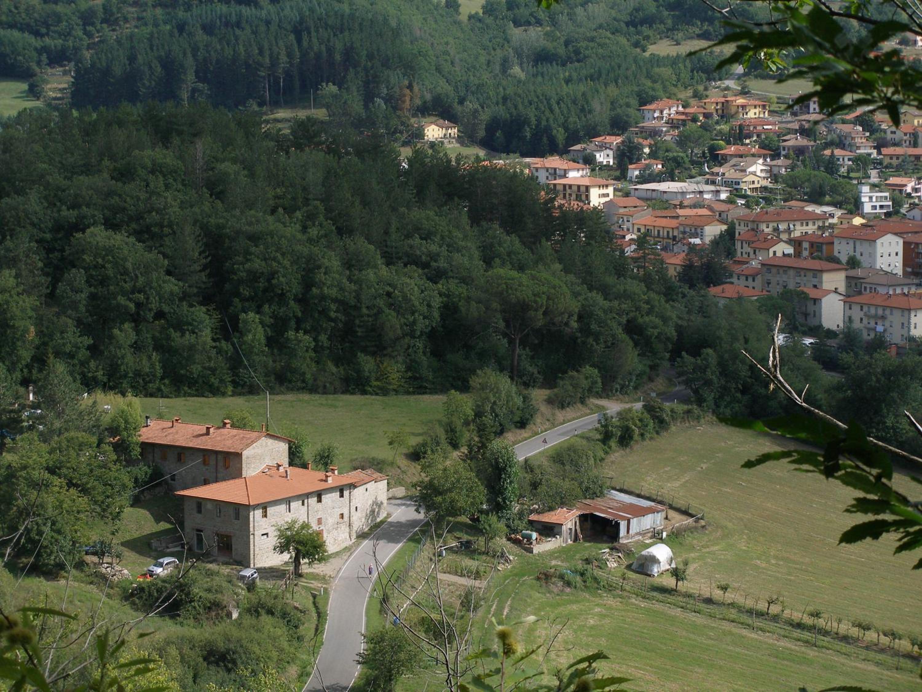 Photo 17
