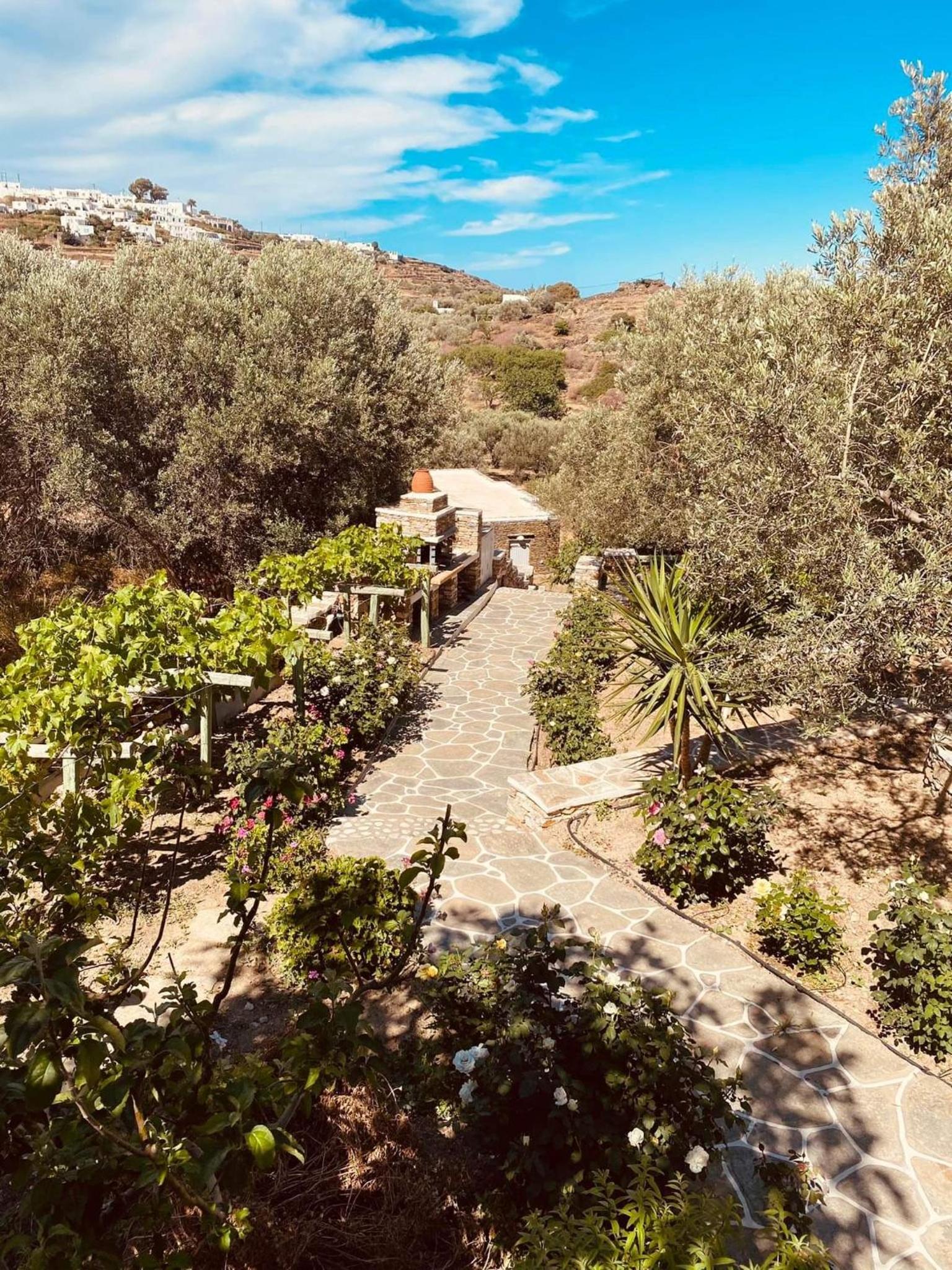 ROSE studio view 5
