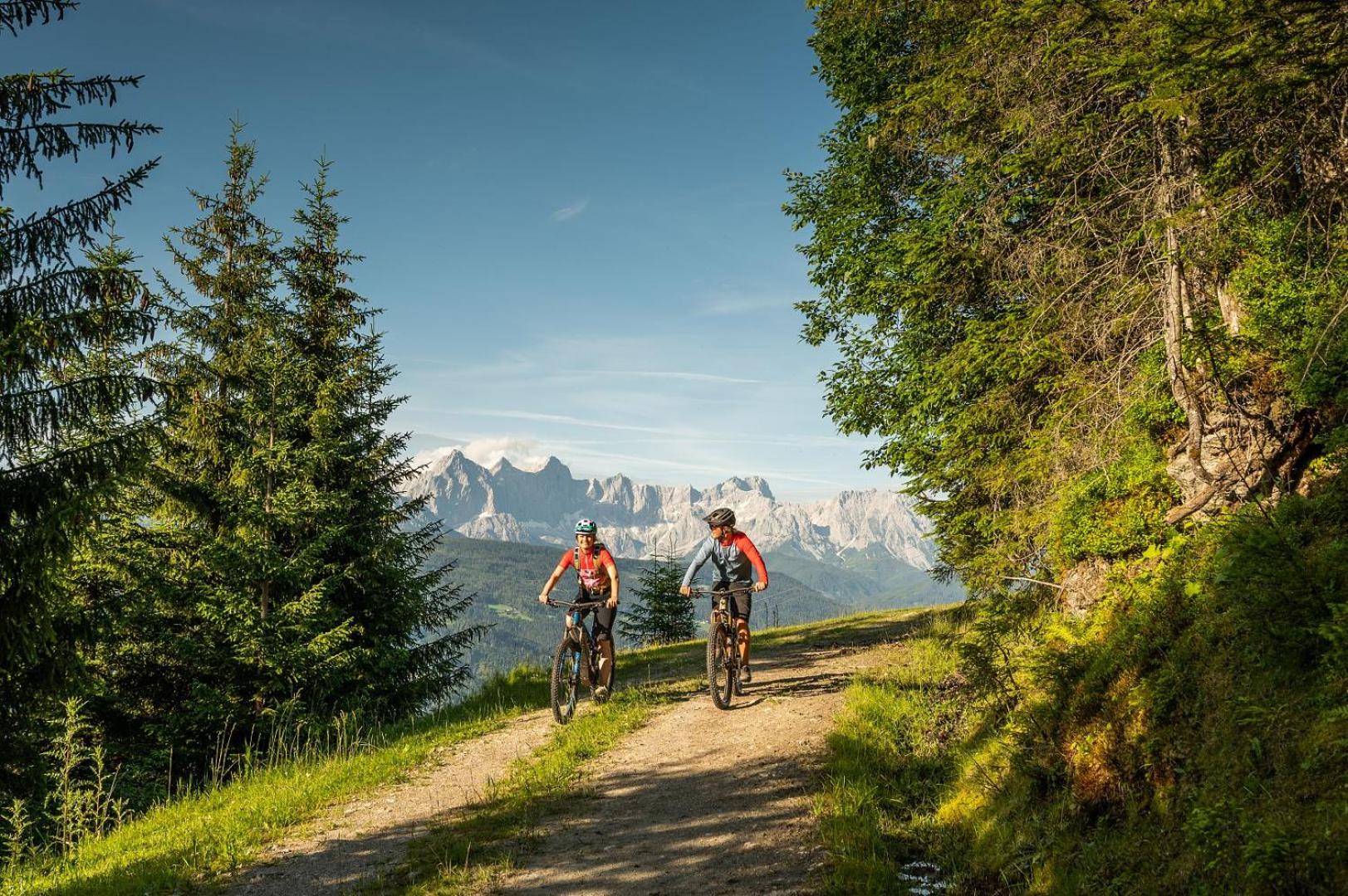 Appartements Zauchenseeblick Thunhart