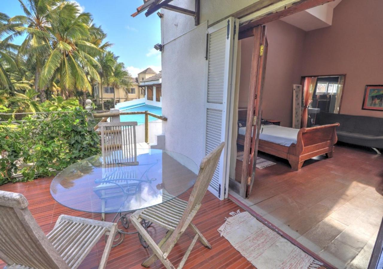 serin du cap photo 5