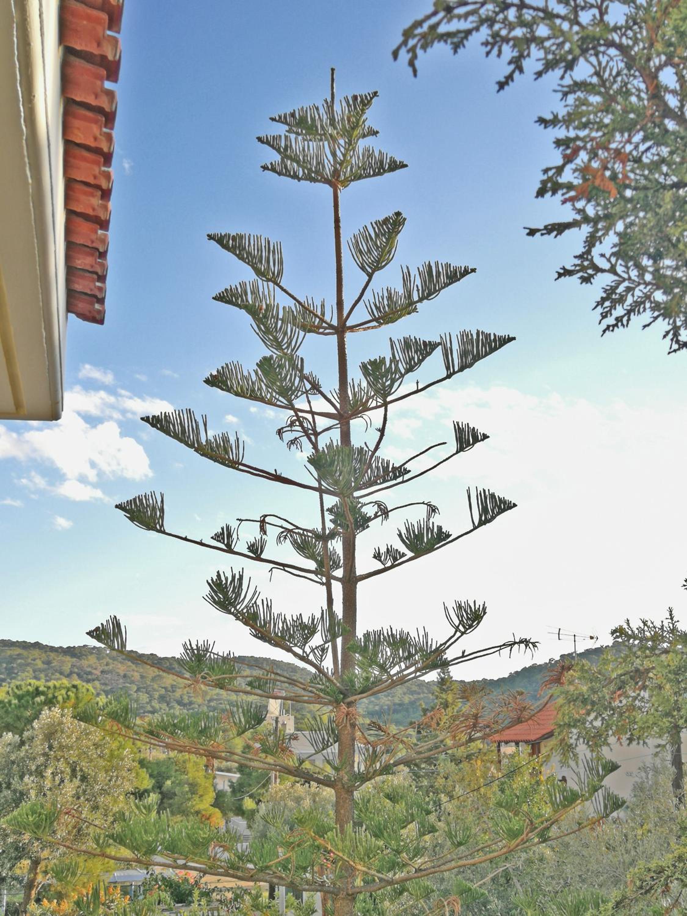 AROKARIA HOUSE