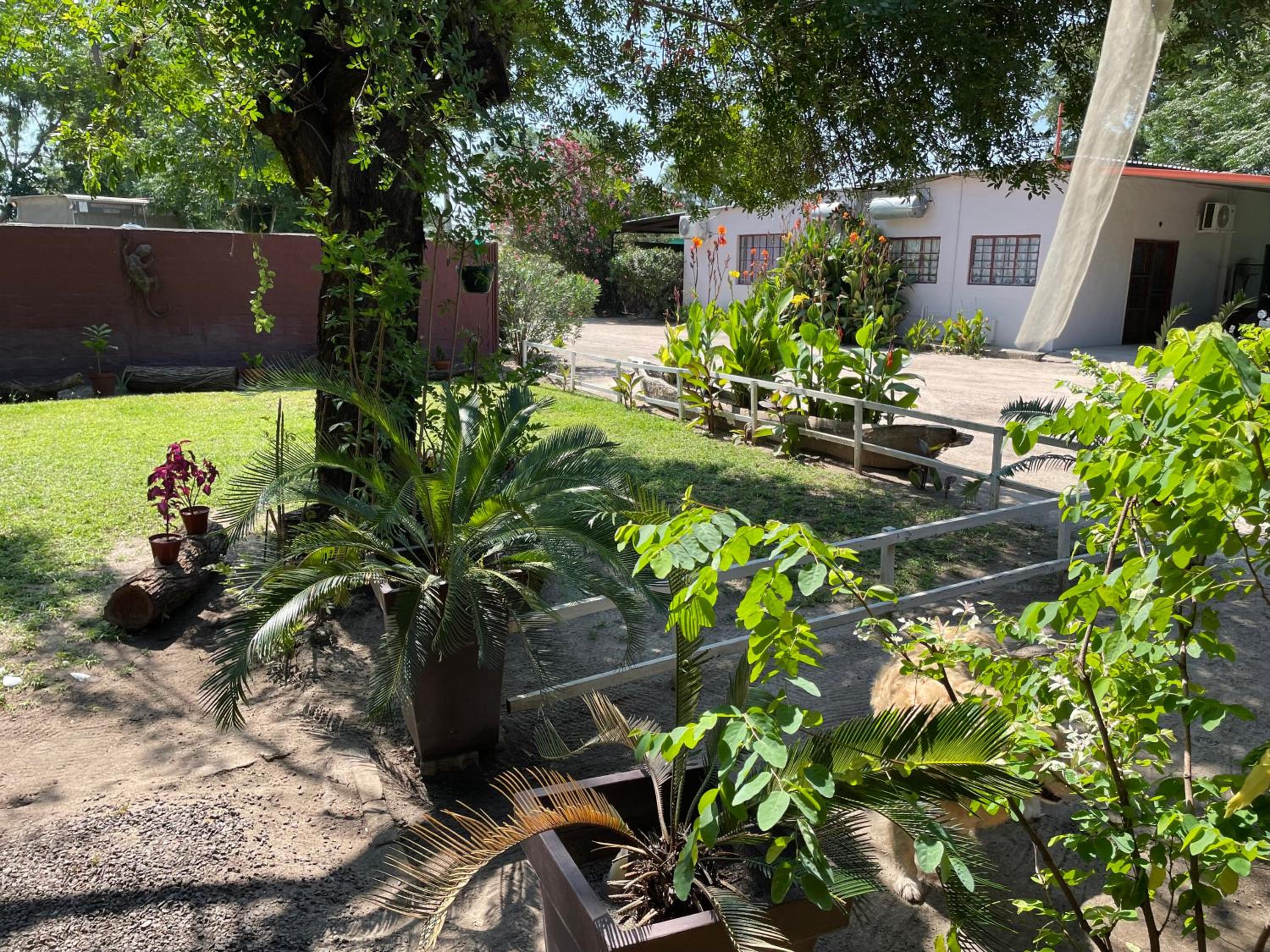 Kololo Guesthouse