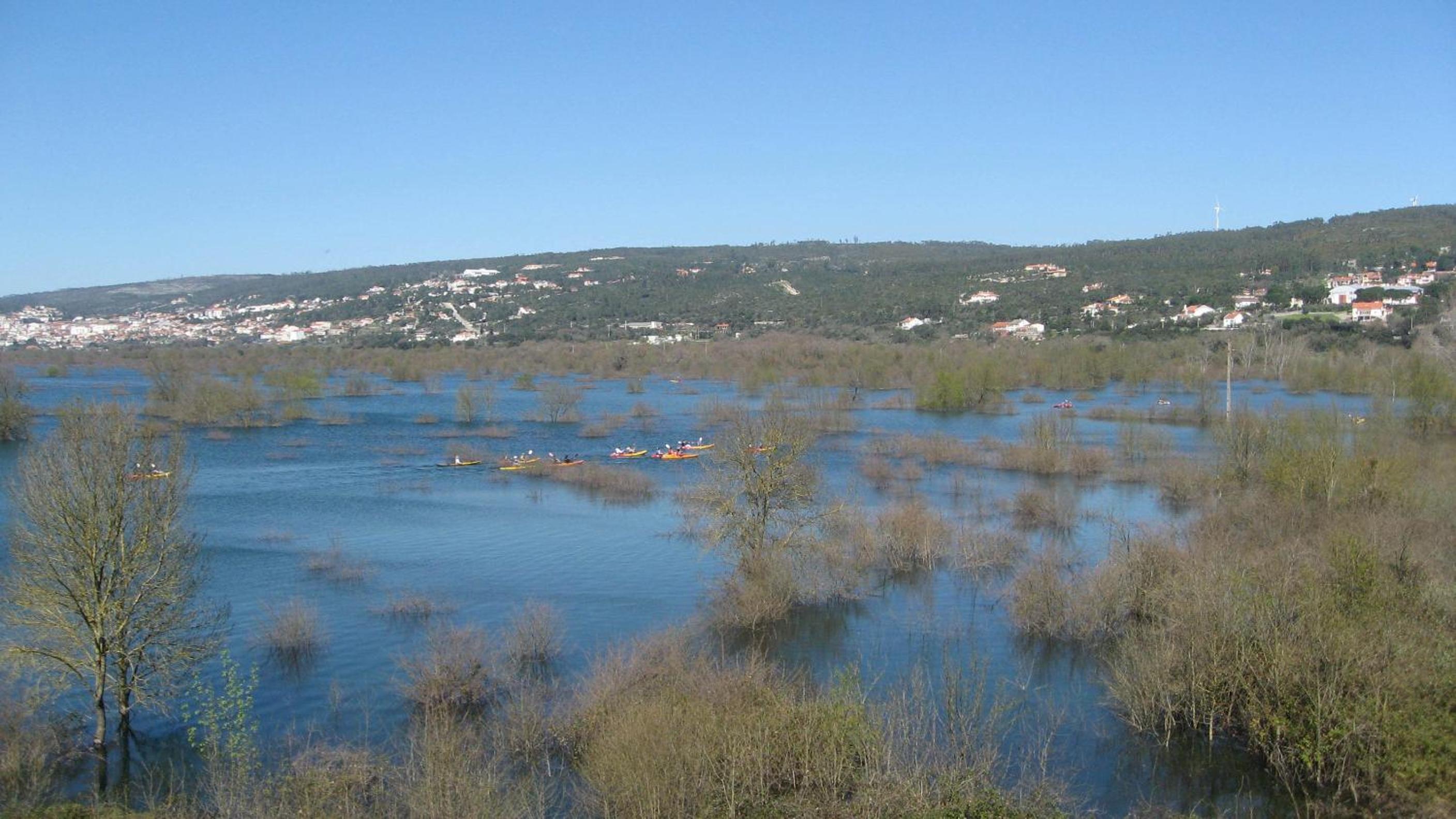 Parreirais dos Moquinhos view 3