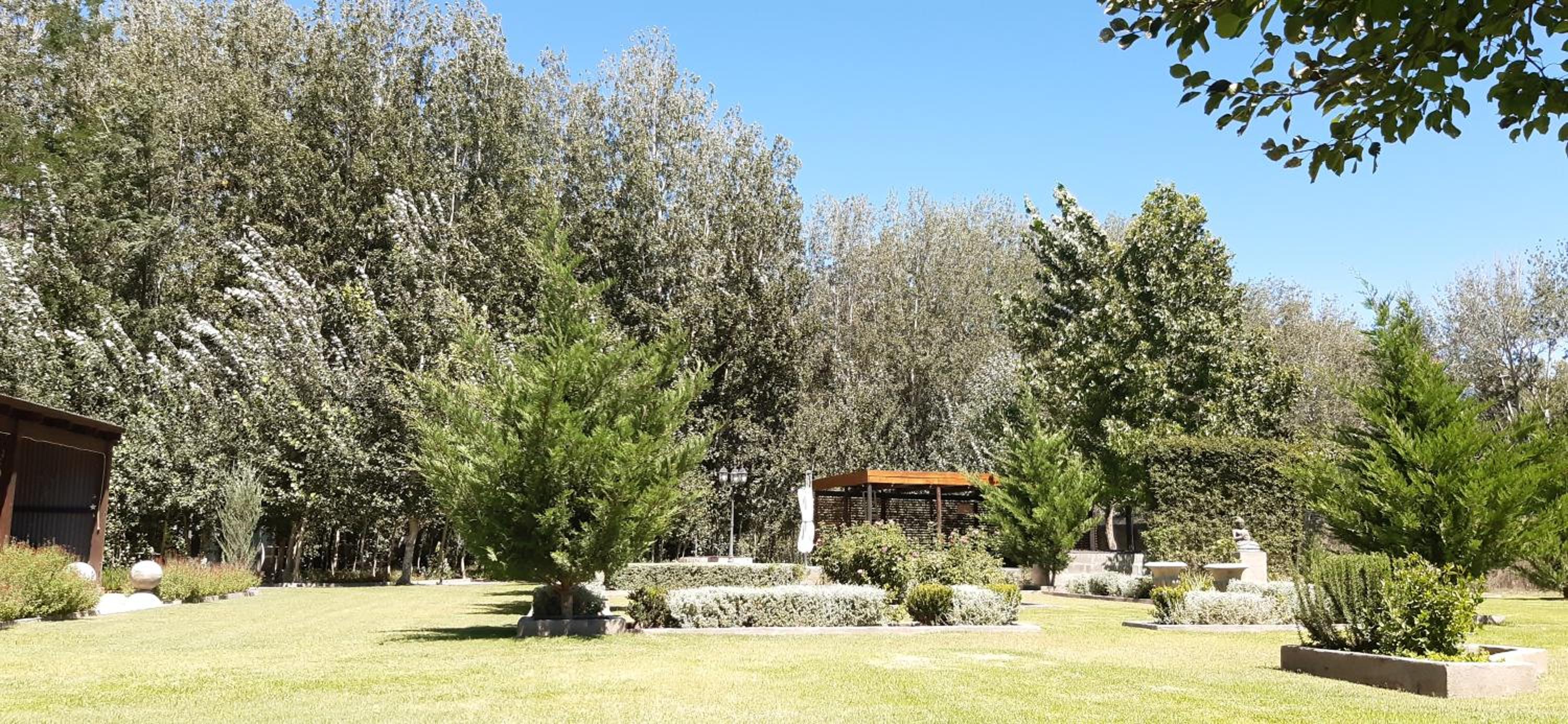 Photo 42