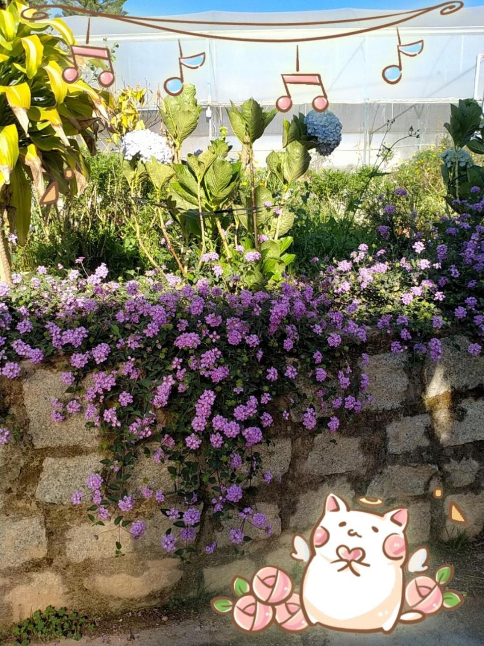 Chocolate Home view 5